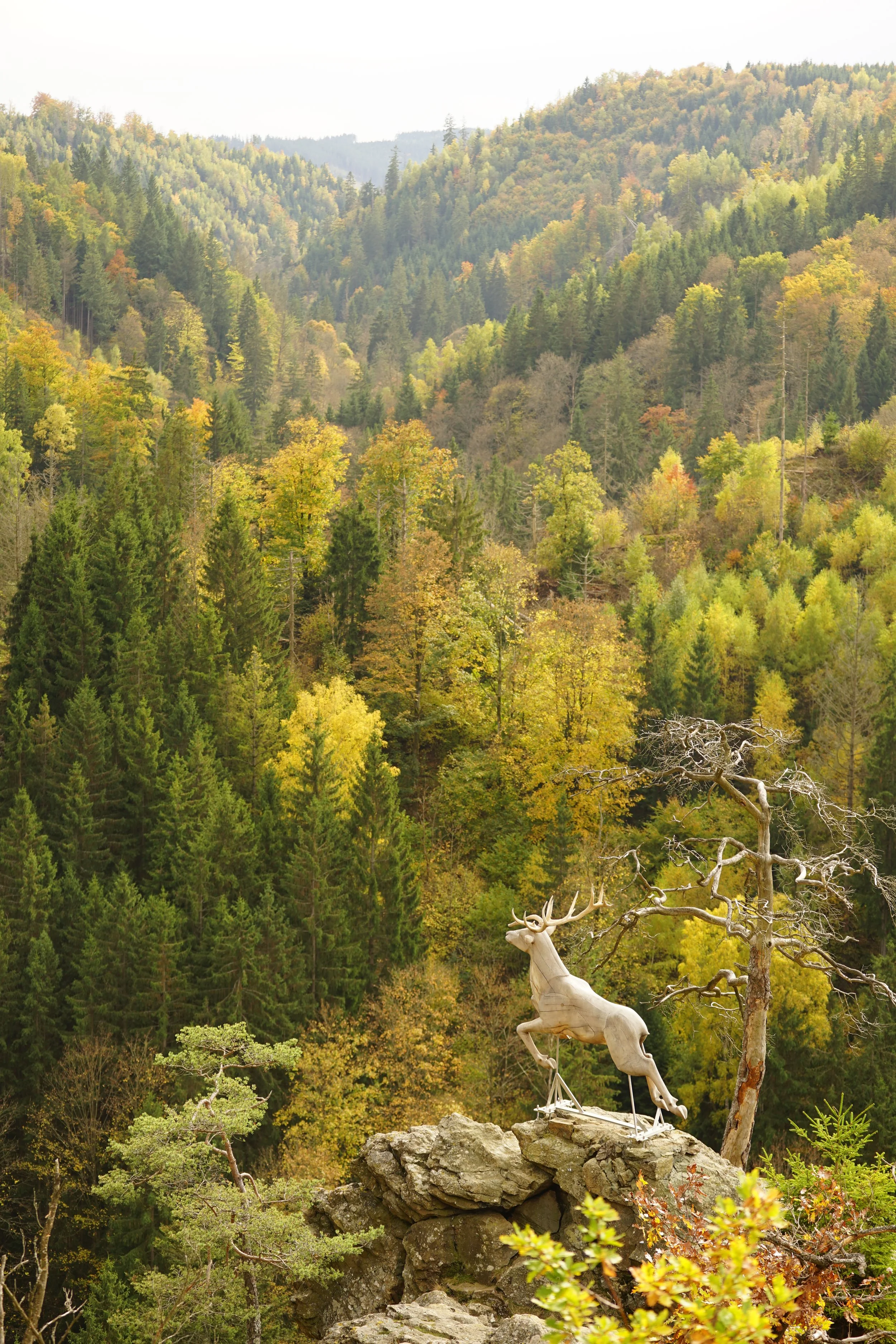 Foto: Helmut Welte; 20.10.2025... der Hischsprung im Höllental