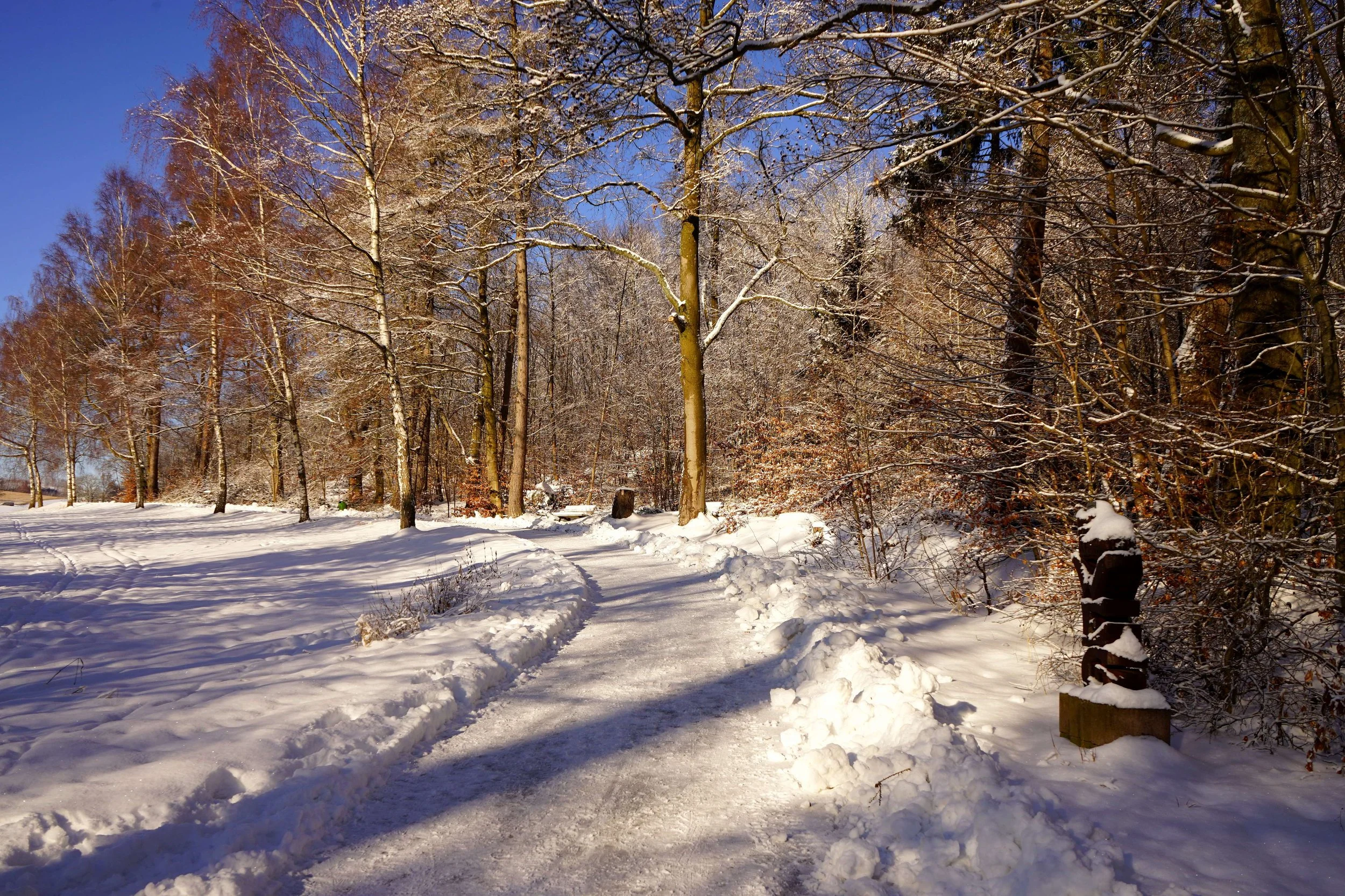 Foto: Helmut Welte; 11.01.2026