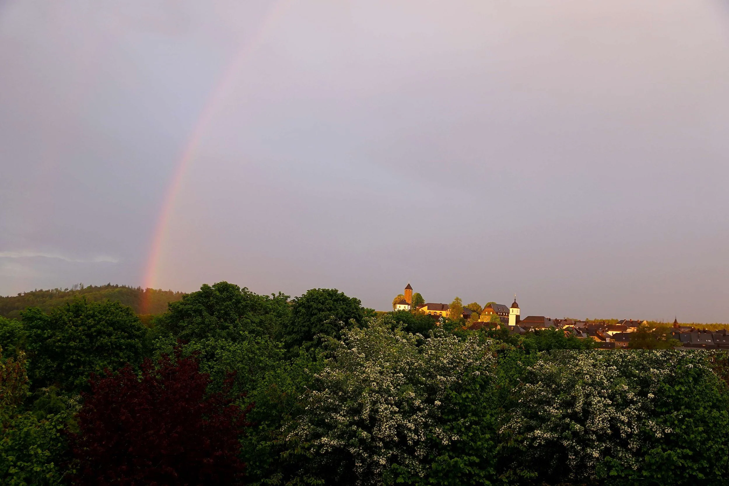 Foto: Helmut Welte, 20.05.2026
