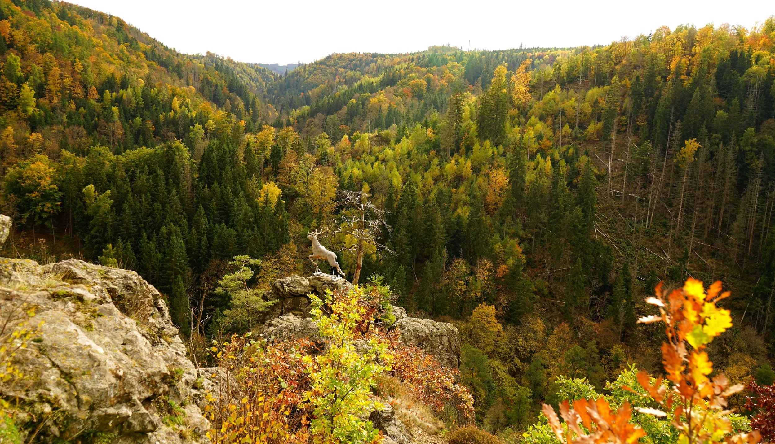 Foto:Helmut Welte; 20.10.2025
Am Hirschsprung