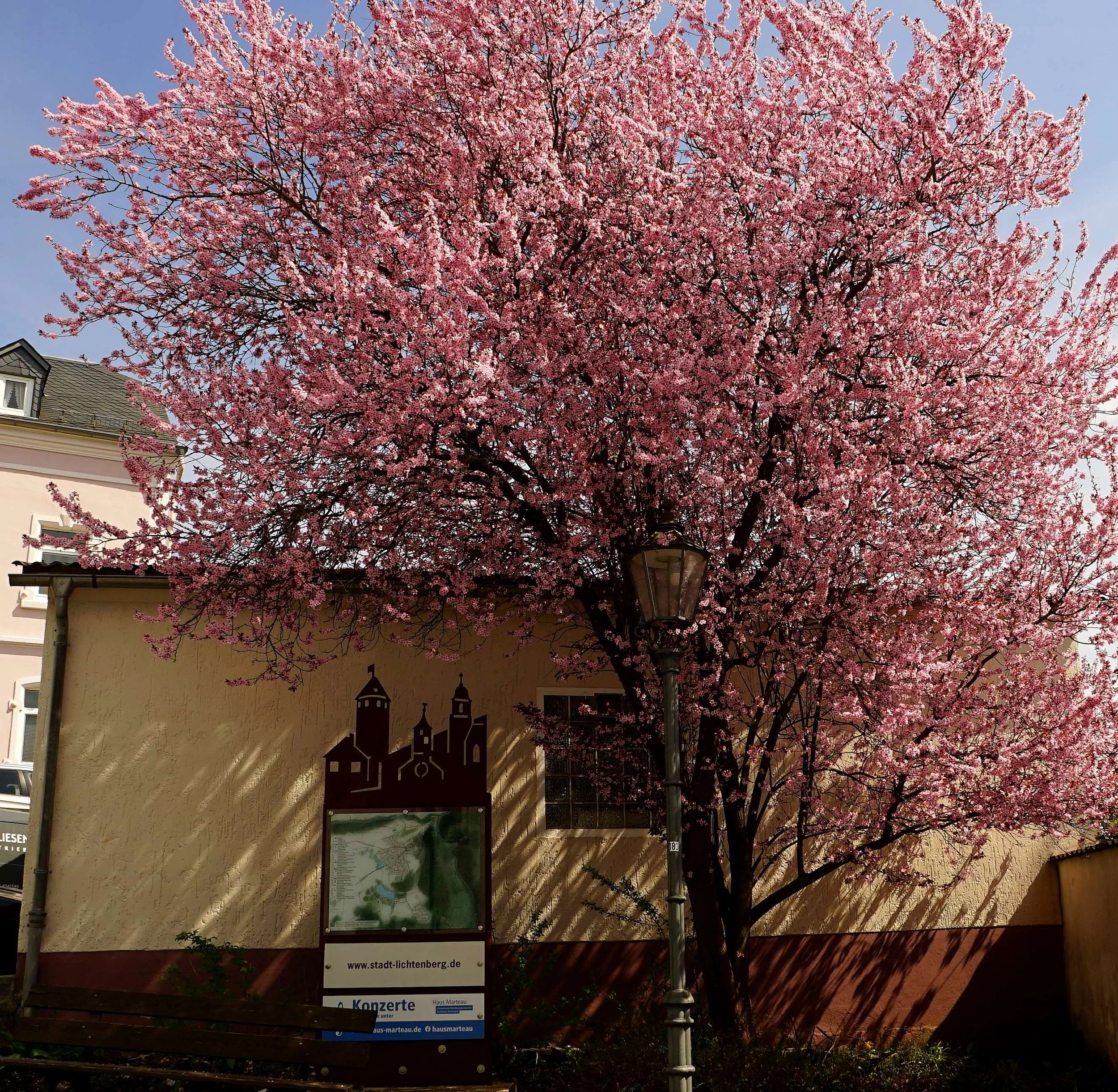 Foto: Helmut Welte; 18.04.2026