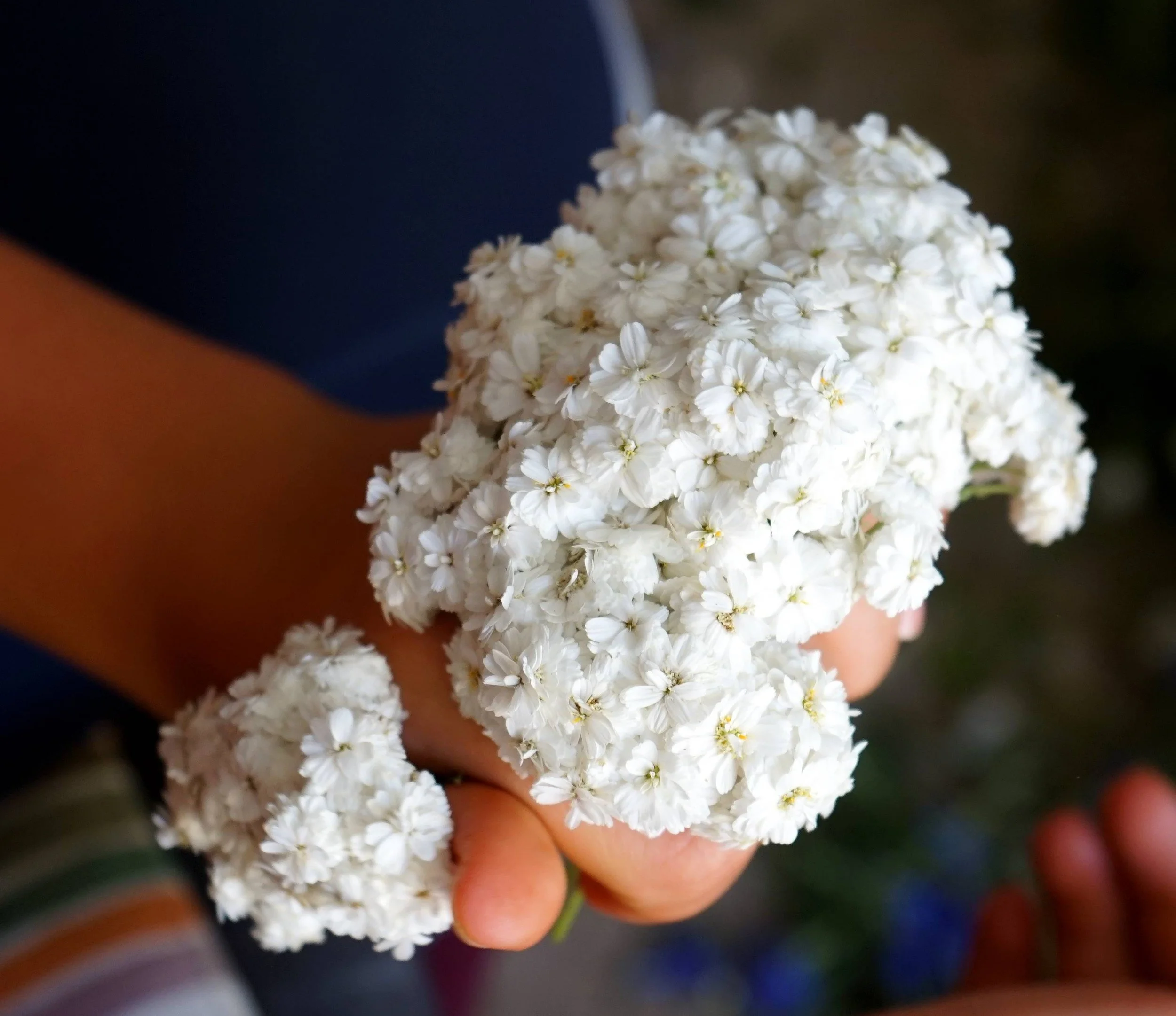 Foto: Helmut Welte; Wiesenfest 20.19, so fängt  es an.....