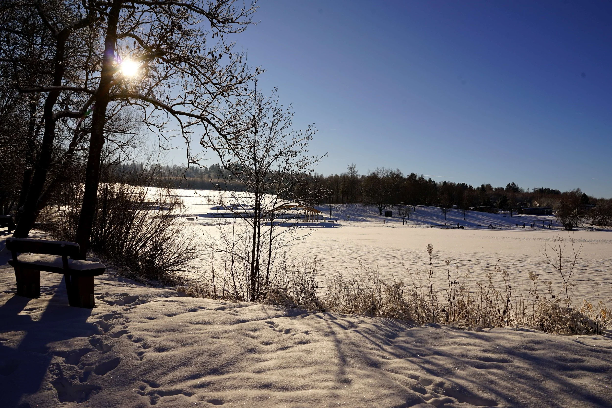 Foto: Helmut Welte; 11.01.2026
