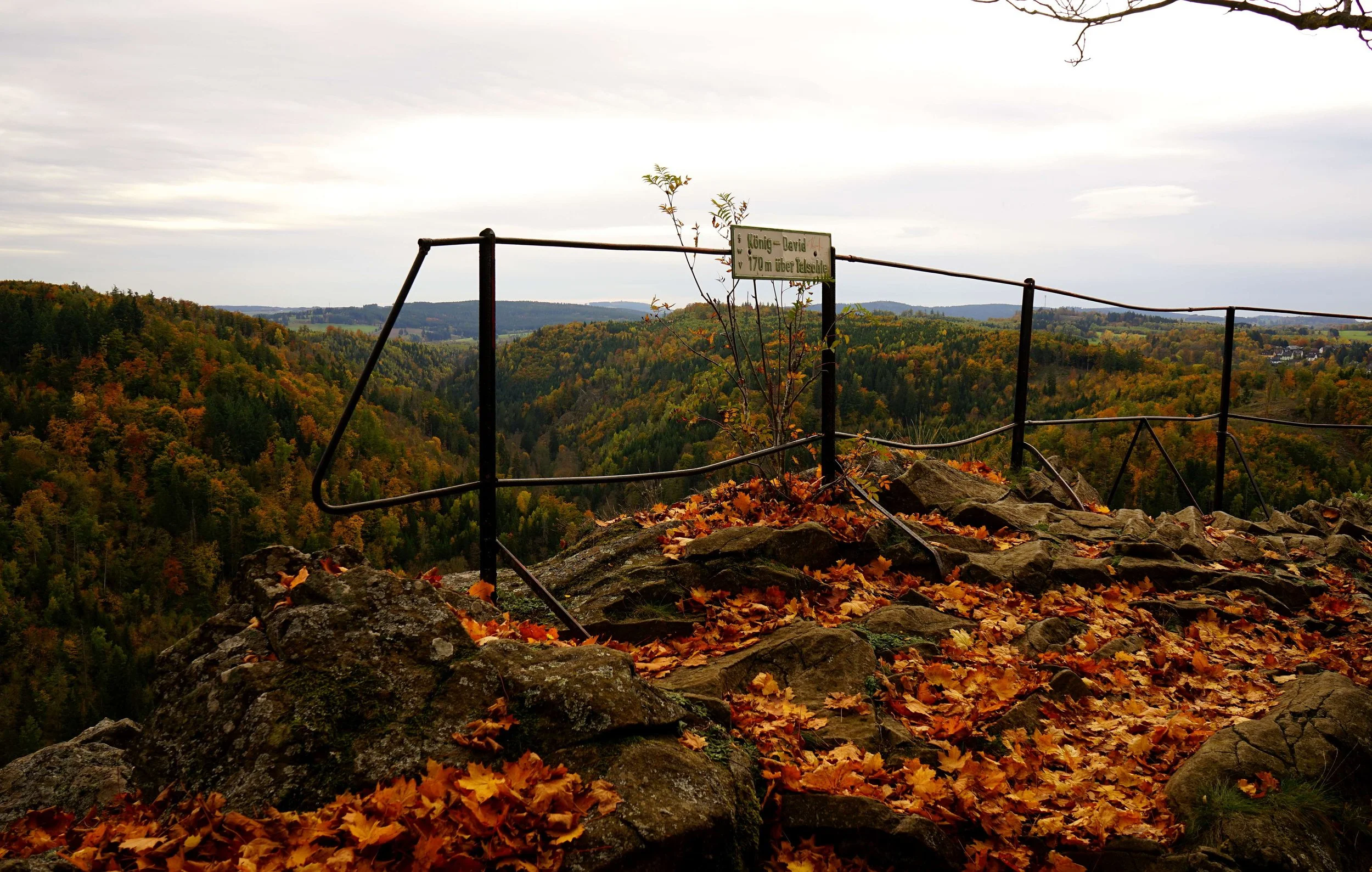 Foto: Helmut Welte, 20.10.2025
am König David