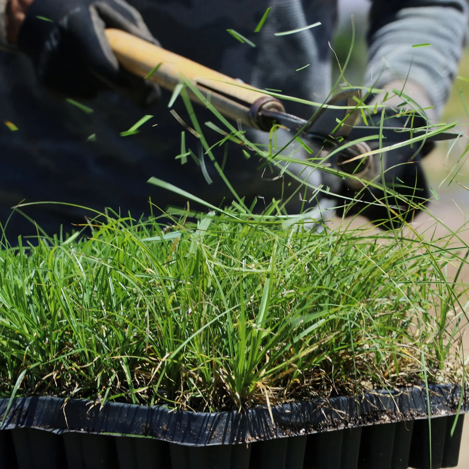 Education — Greenbelt Growers Inc.