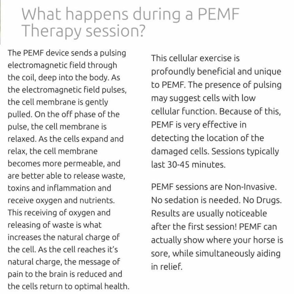 Great explanation of PEMF. Same for humans too, with the exception of length of time needed which is 15-30 minutes! 
&bull;
&bull;
&bull;
&bull;#therapy #healing #equine #humans #pets #PMEF #painless #recovery #relaxing #sterlingwave #strelingwavethe