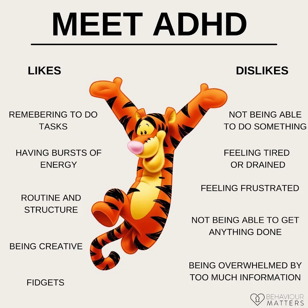 Help for Executive Functioning Disorder (EFD) — Behaviour Matters