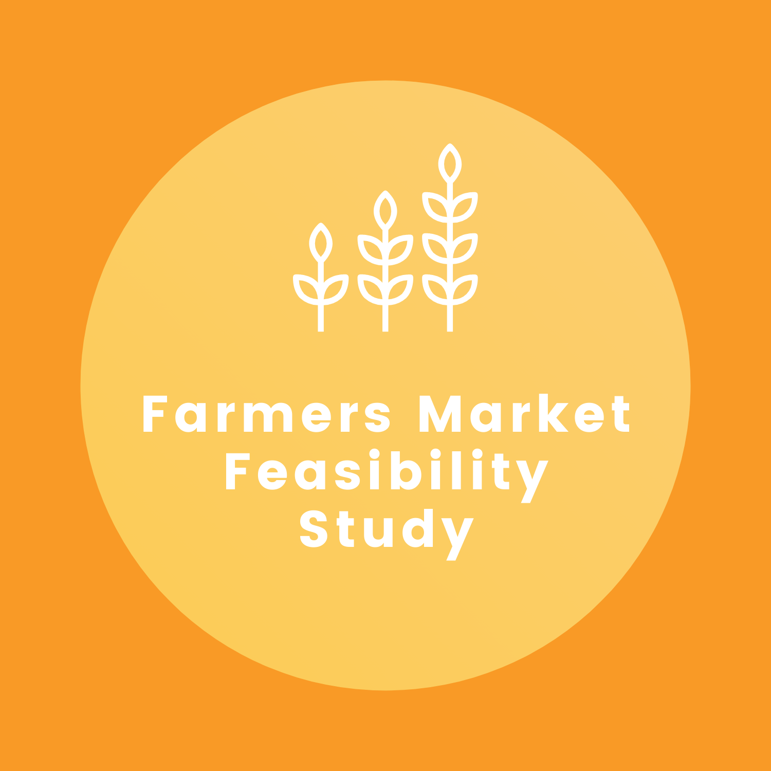 FM Feasibility.png