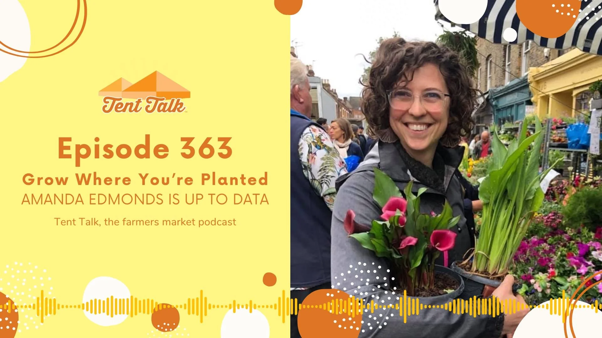 363: Grow Where You're Planted | Amanda Edmonds Is Up To Data