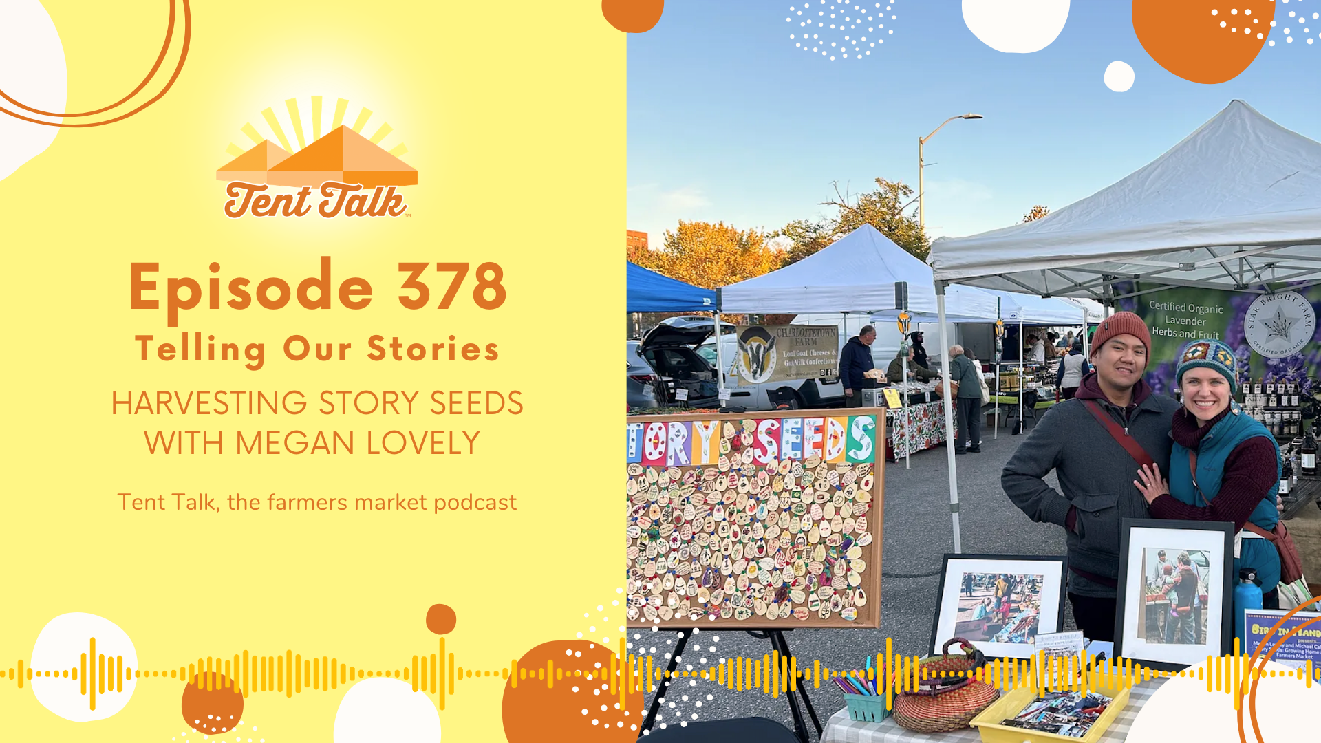 378: Telling Our Stories | Harvesting Story Seeds with Megan Lovely