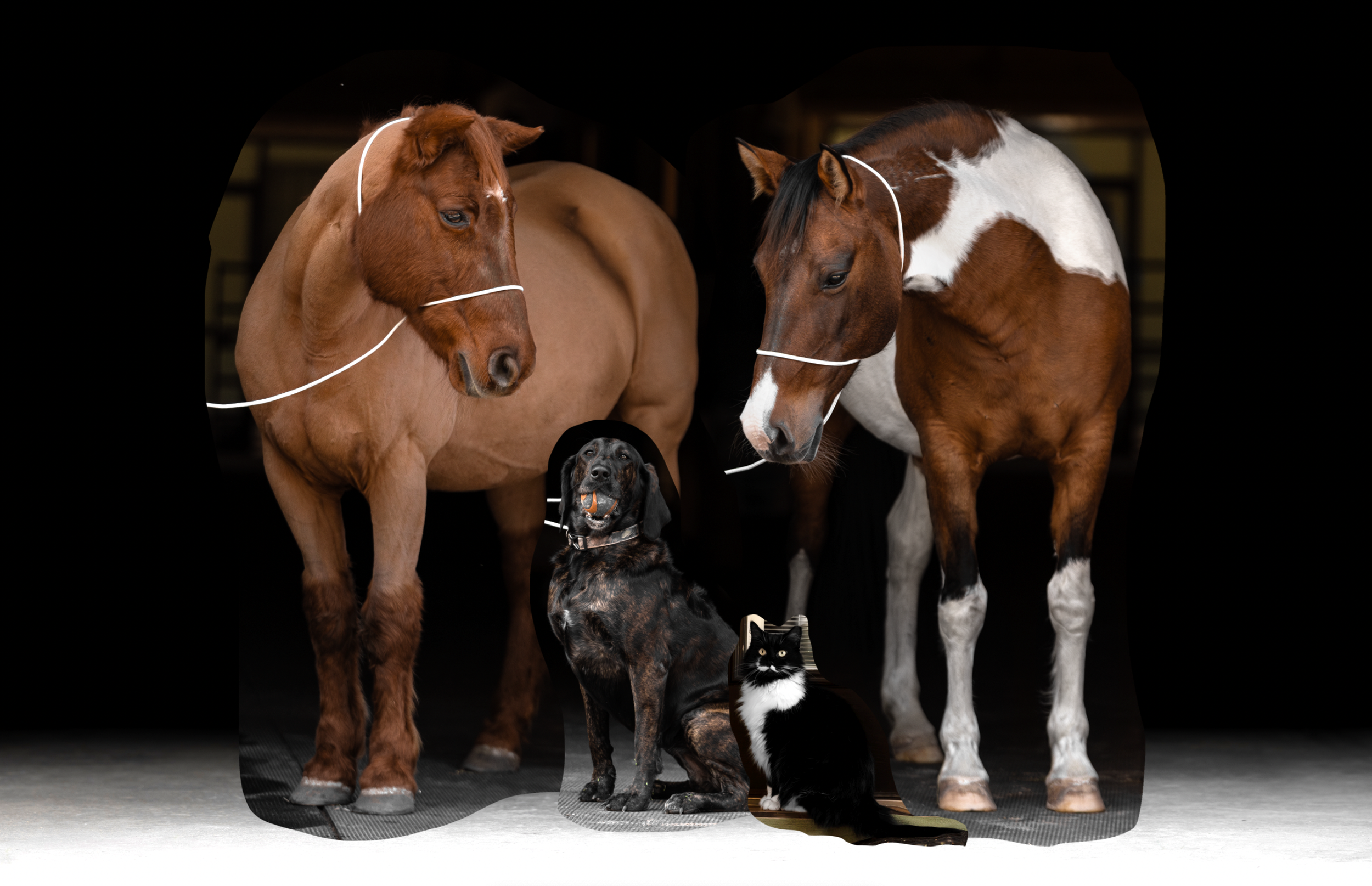 Screenshot 2025-12-09 at 7.15.05 PM.png