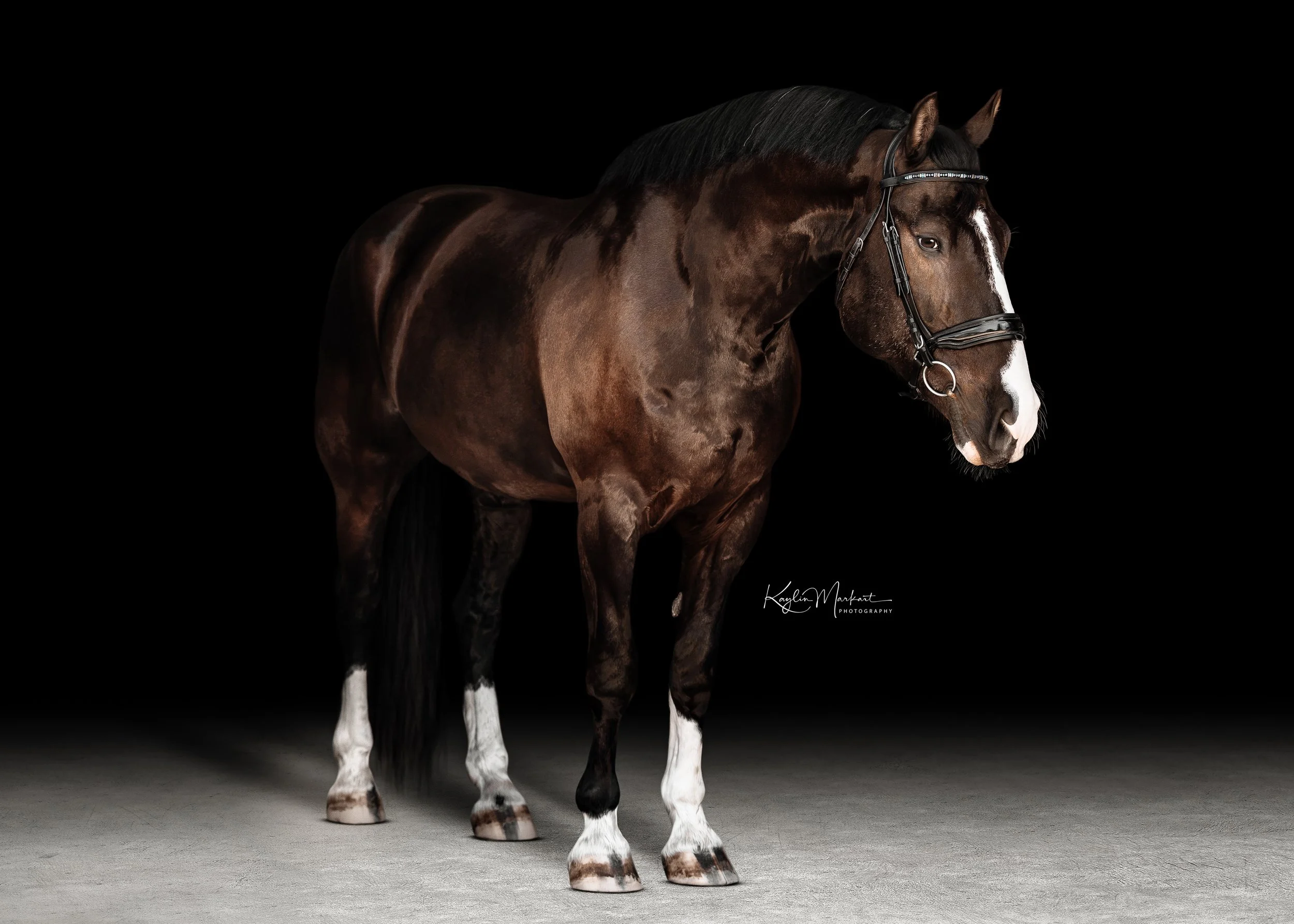 JLM_4010-5x7.jpg