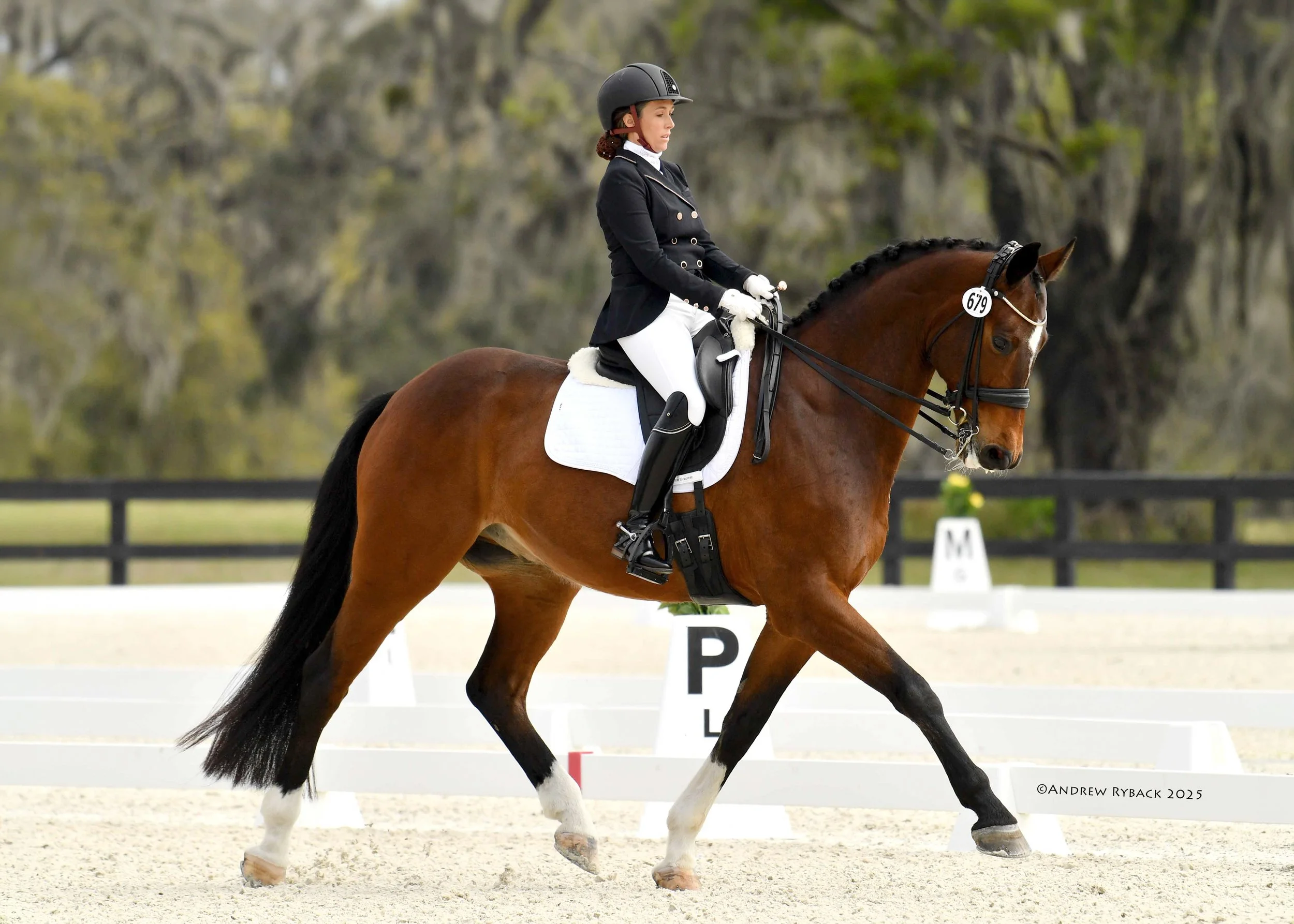 WECMarchDressage_WorldEquestrianCenter_Ocala_FL