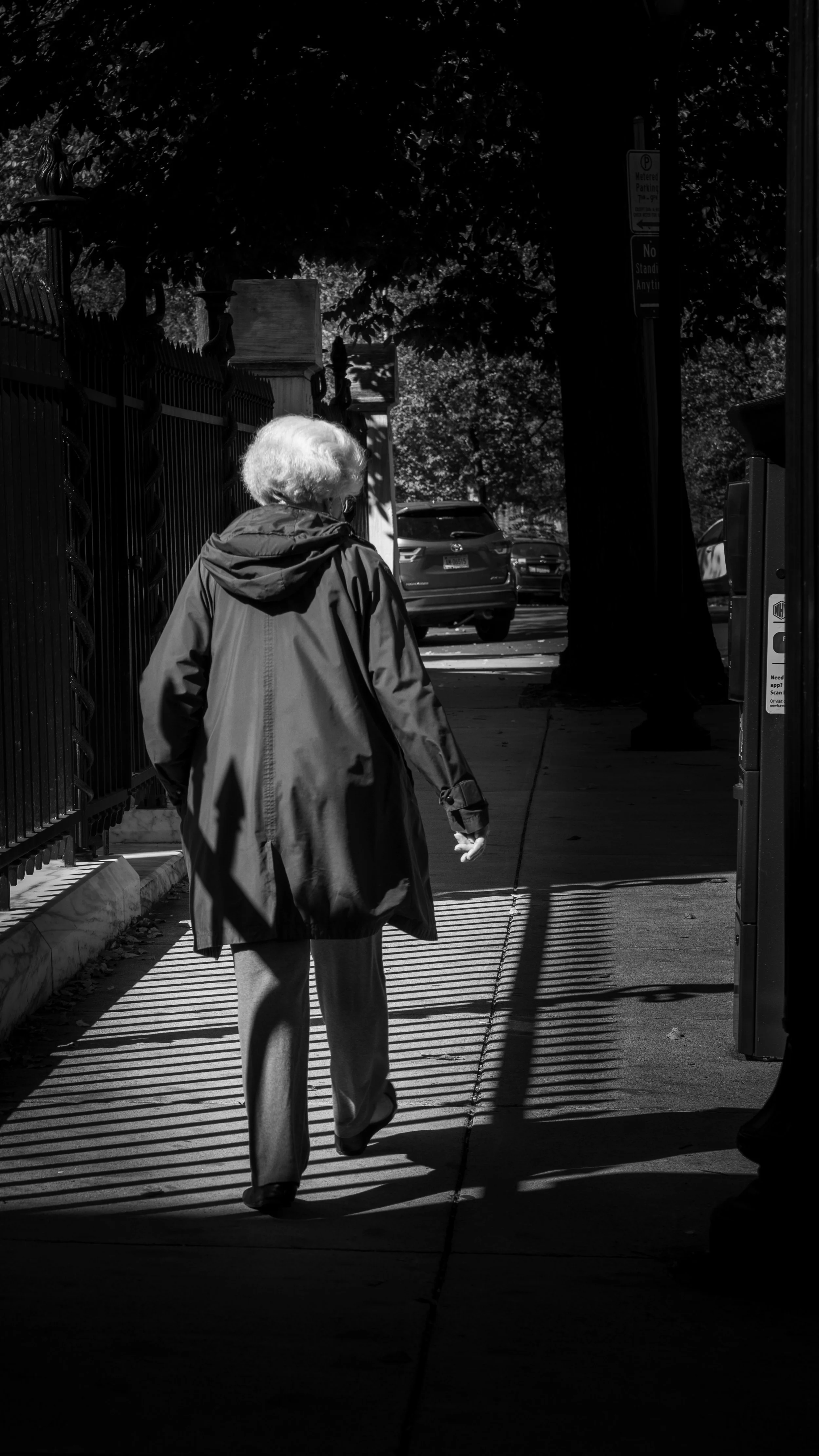 The Words Love Speaks