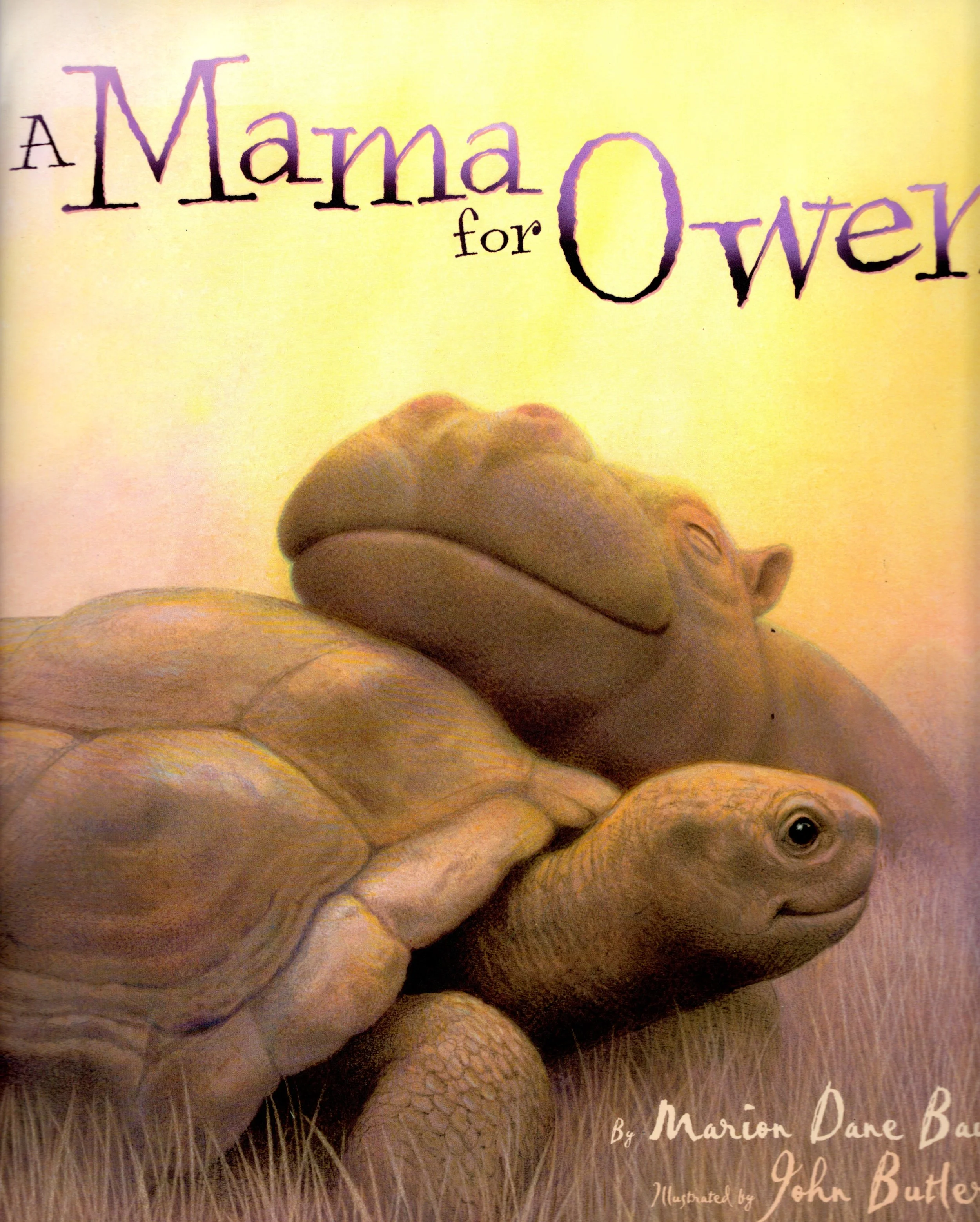 owen.jpg