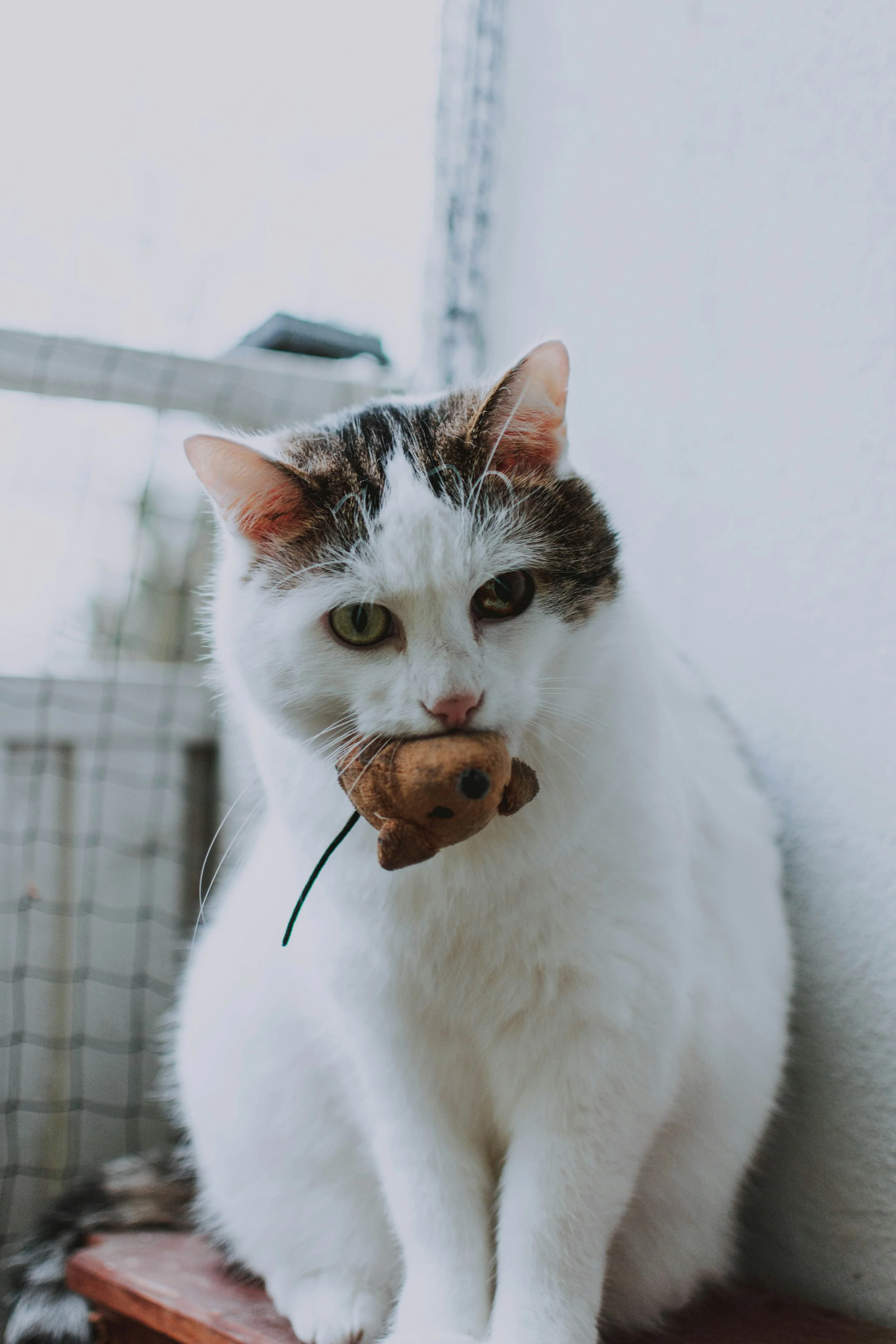 The Great Hunter