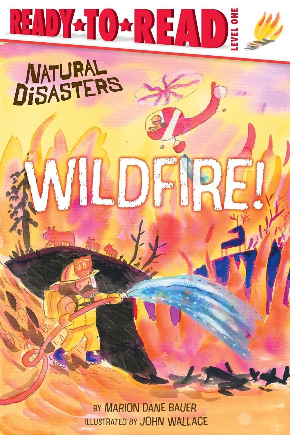 Wildfire Awareness