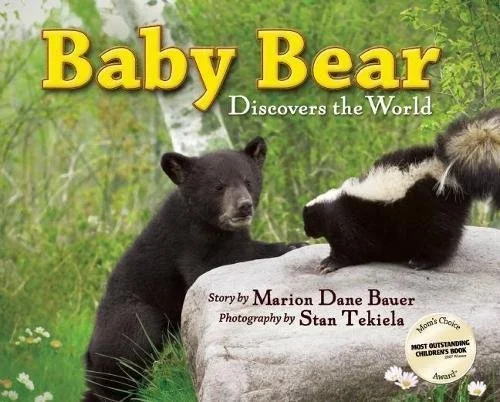 baby bear discovers the world.jpg