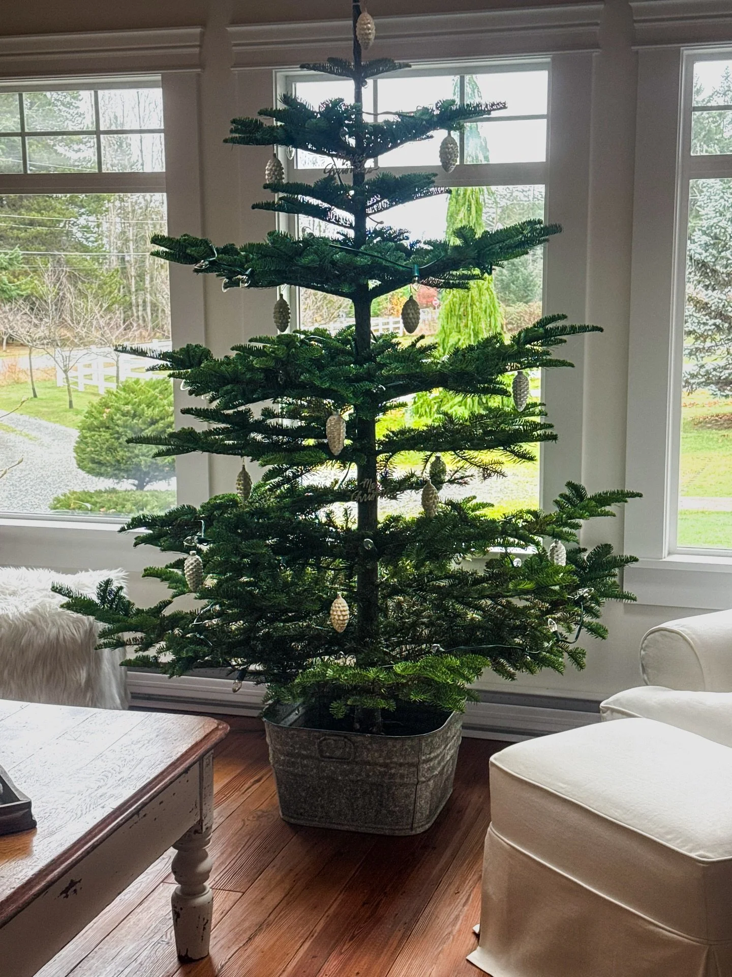 It&rsquo;s beginning to look a lot like&hellip;. 

C H R I S T M A S! 

We love this season and thinking about all of the folks who will be gathering together in an R Dolan home this season. ✨🎄