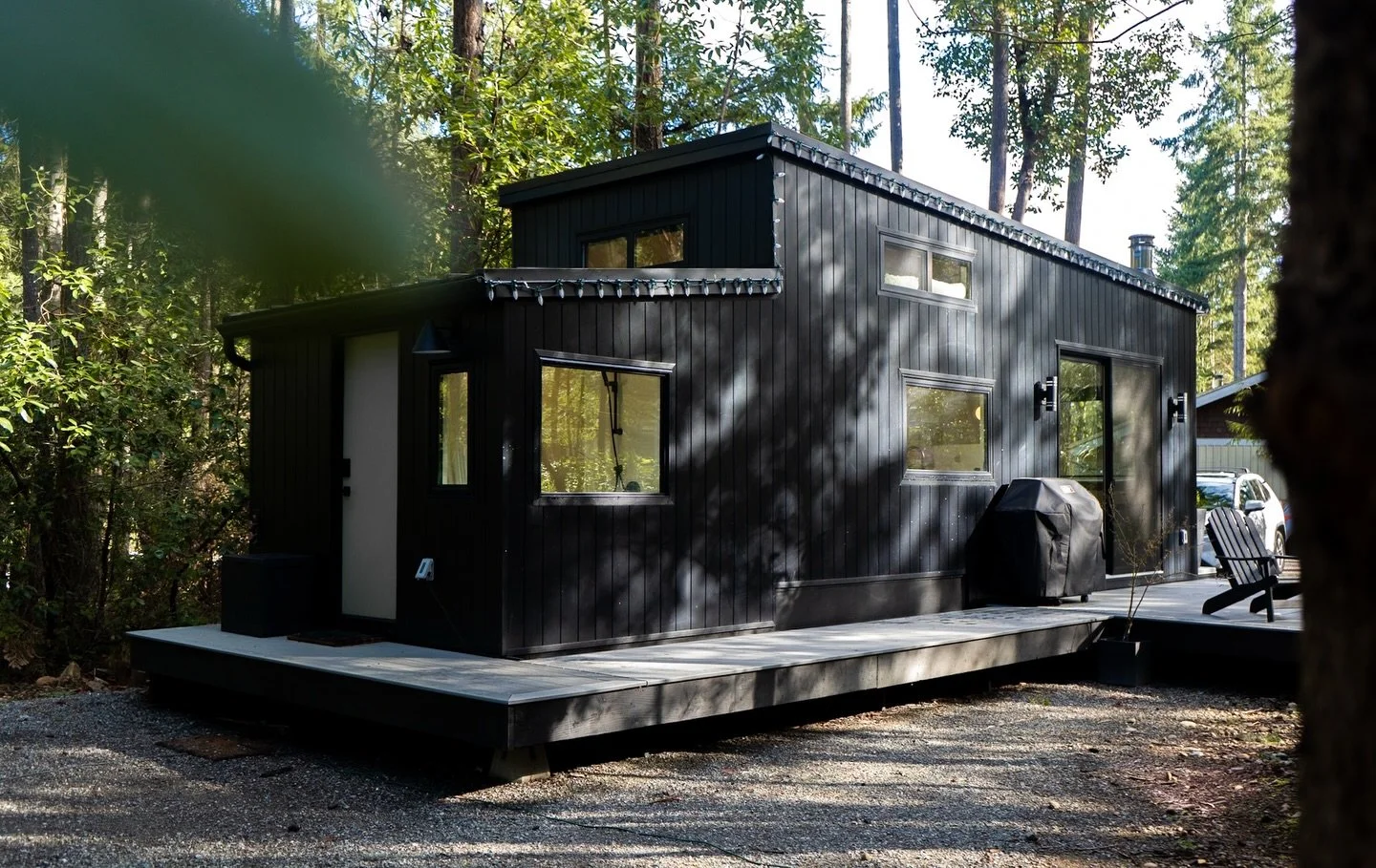 This &amp; a light dusting snow ❄️✨