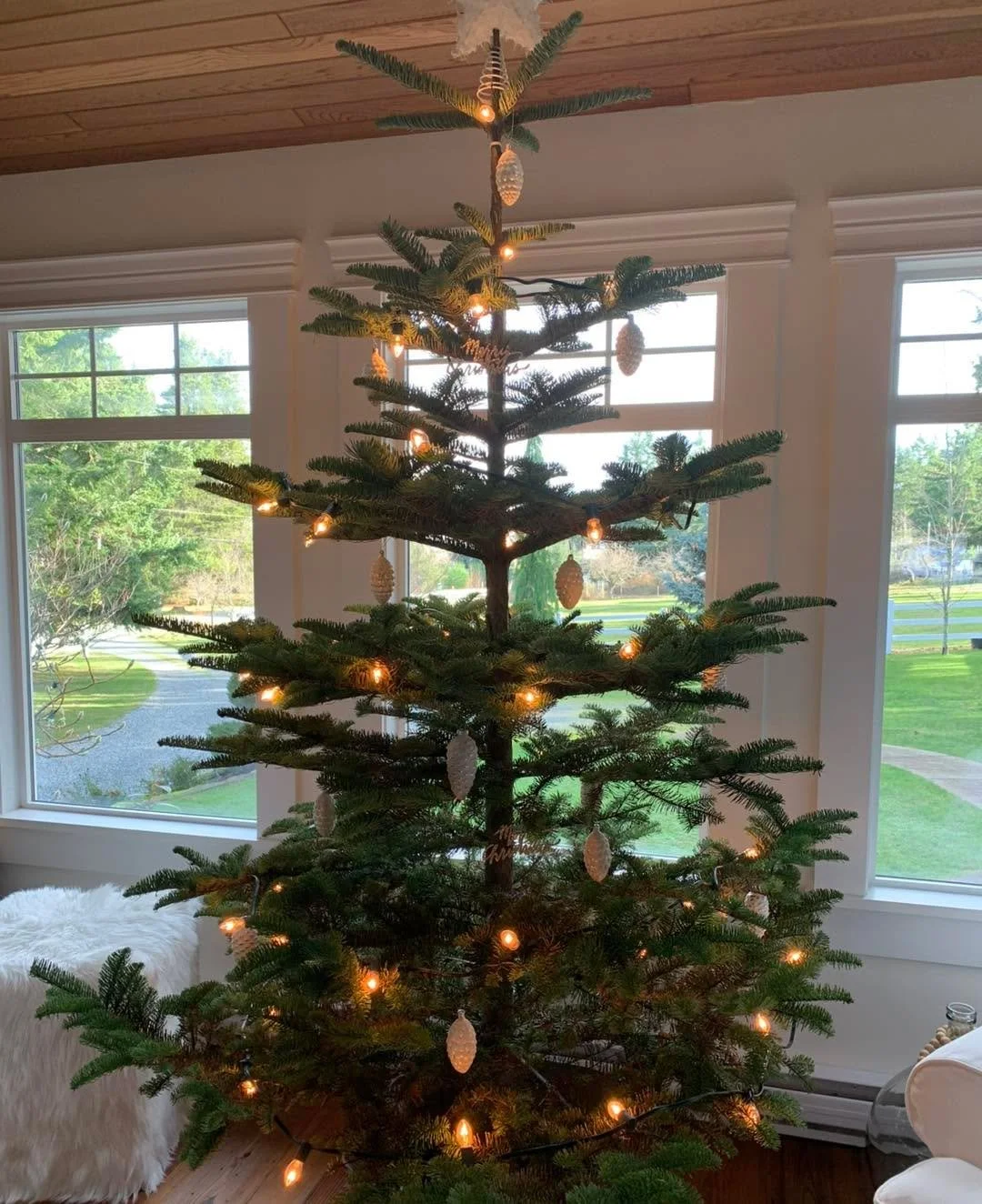 All lit up 😉 

Merry Christmas from all of us at R Dolan Construction 🎅🏻 

We hope Santa is good to you!!