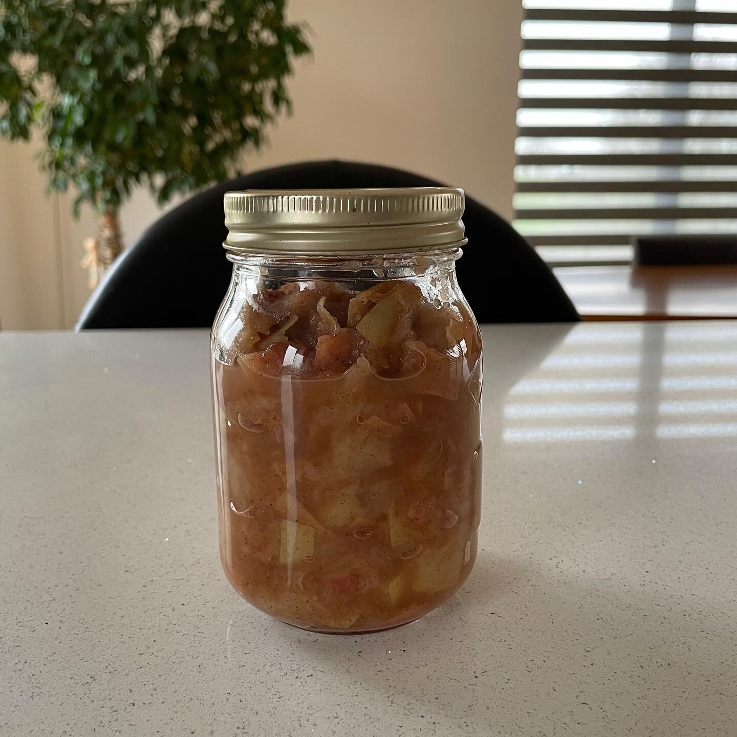 This doesn&rsquo;t look great but it&rsquo;s home made stewed apple.  The pectin is fabulous for gut health as it supports the development of good gut flora as well as keeping things moving. It&rsquo;s brown because I added blood sugar balancing cinn