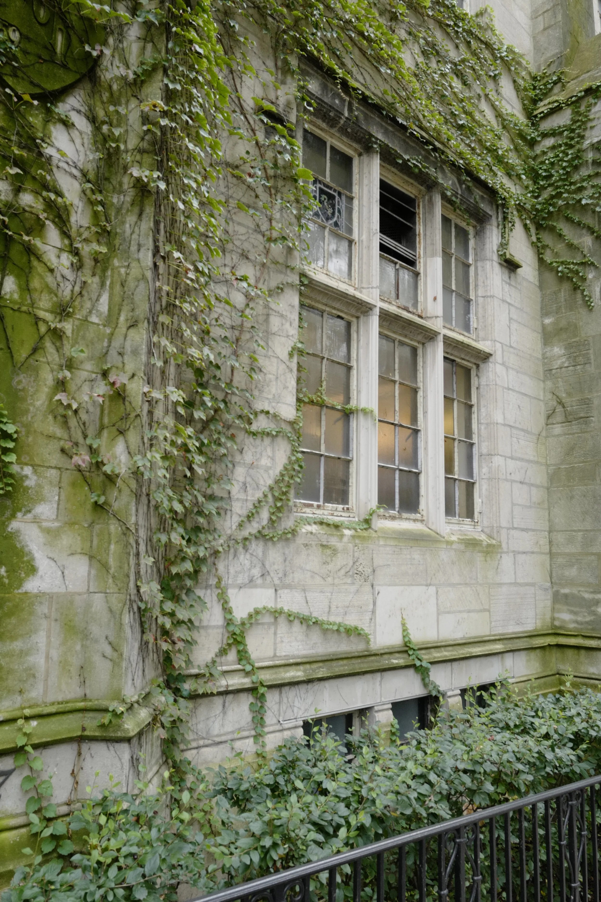 L1030807.JPG
