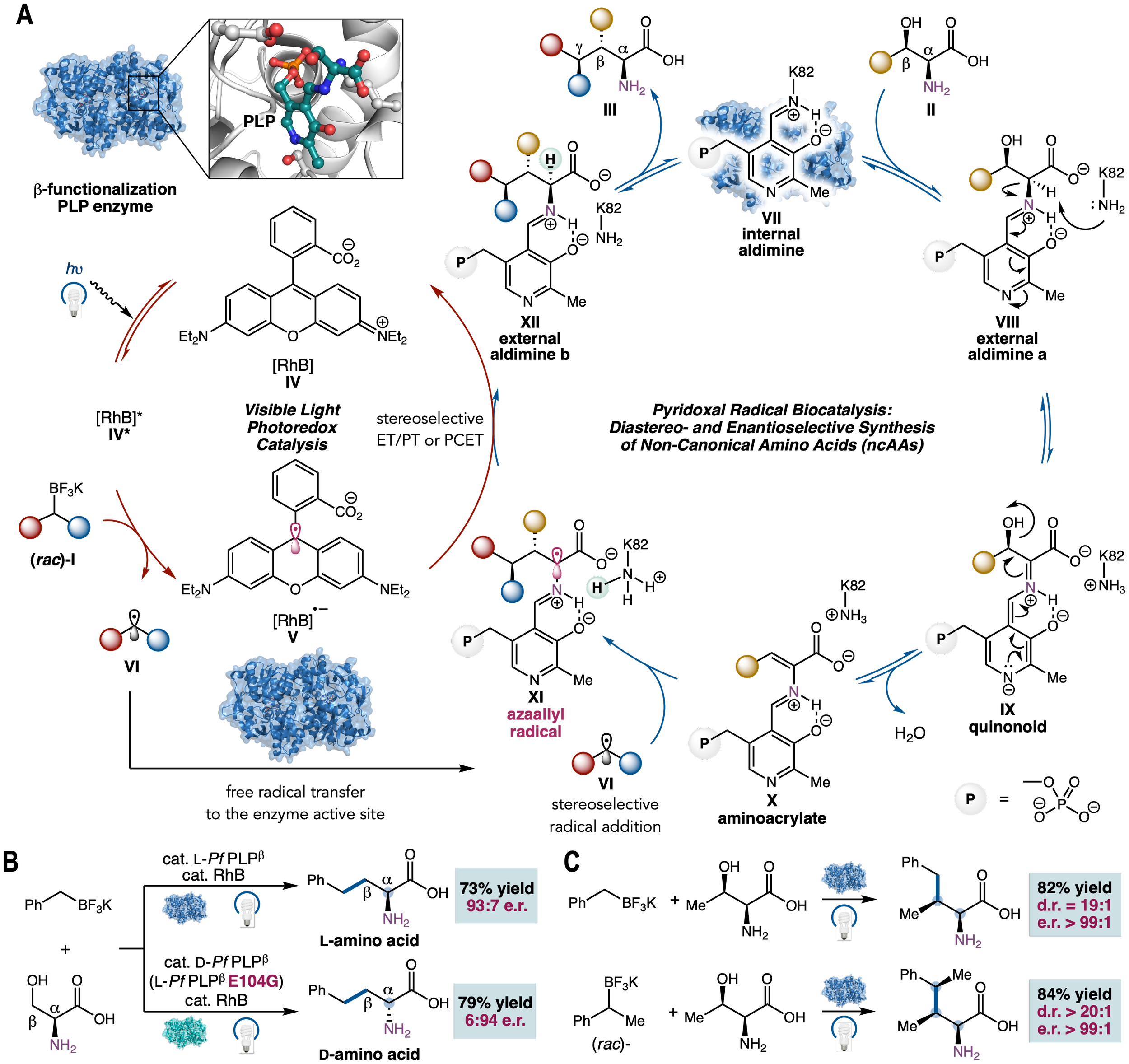 Publications - Yang's Lab