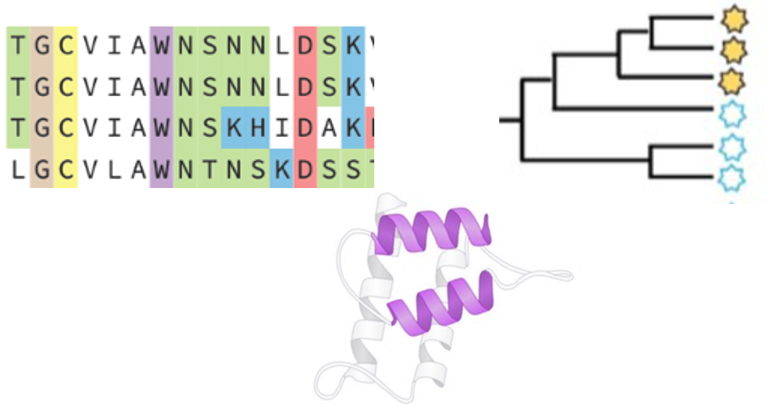 Research — Yang Lab at UCSB