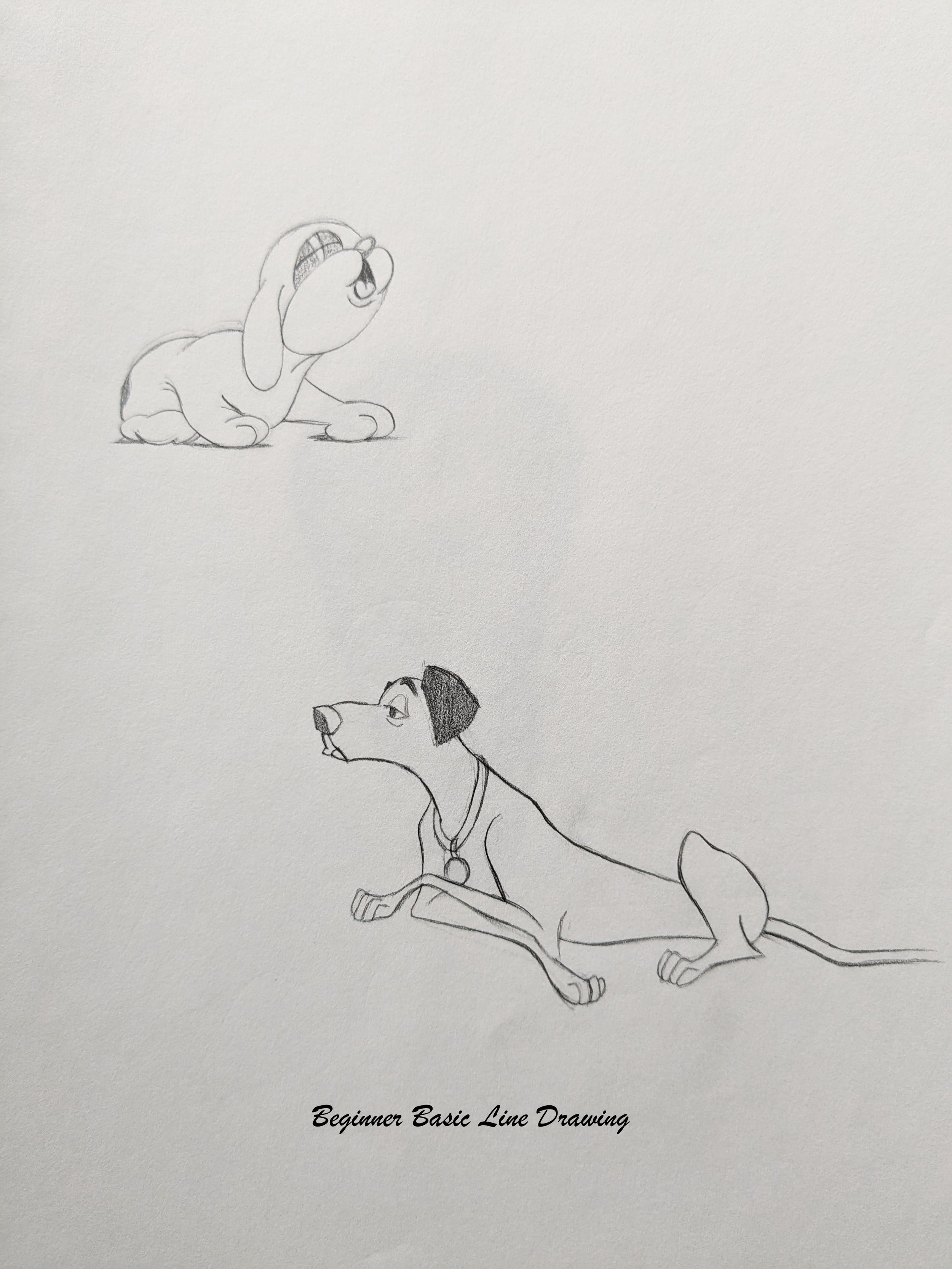 Beginner basic line drawing1.jpg
