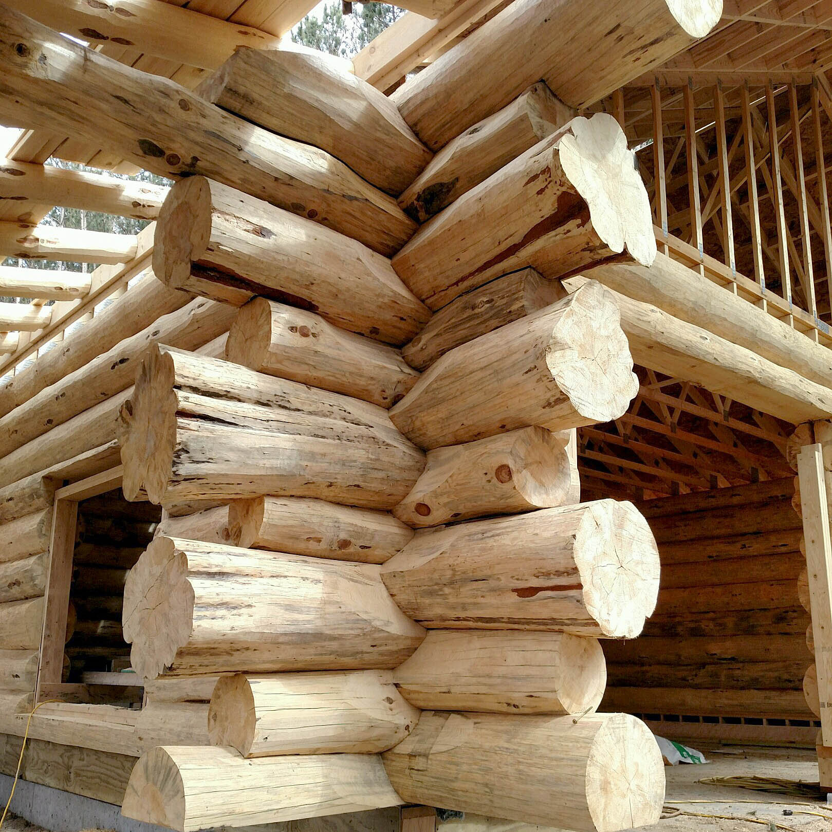 Backwoods Log Homes