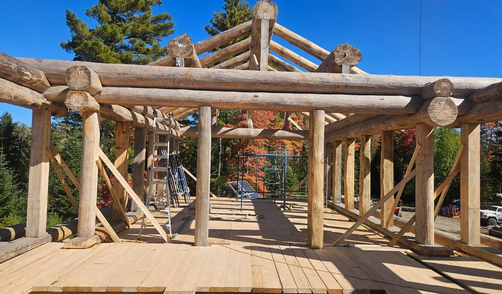 Interior log home frame with large posts, horizontal beams, roof rafters, and temporary bracing.