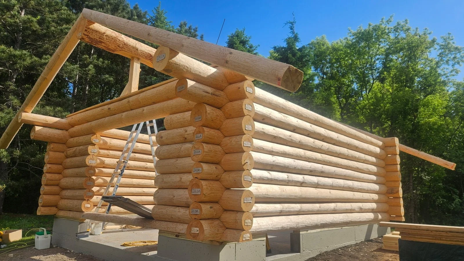 Log shell under construction with interlocking corner joints and exposed roof beams.