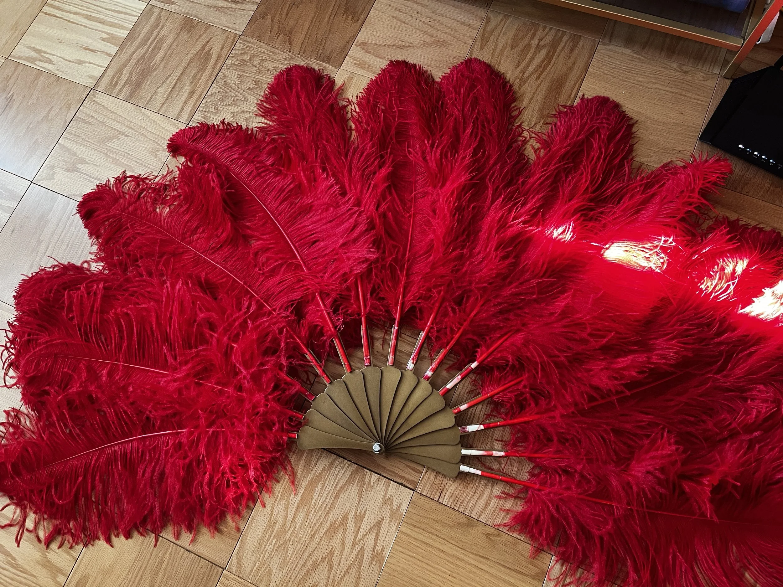 Burlesque Fan