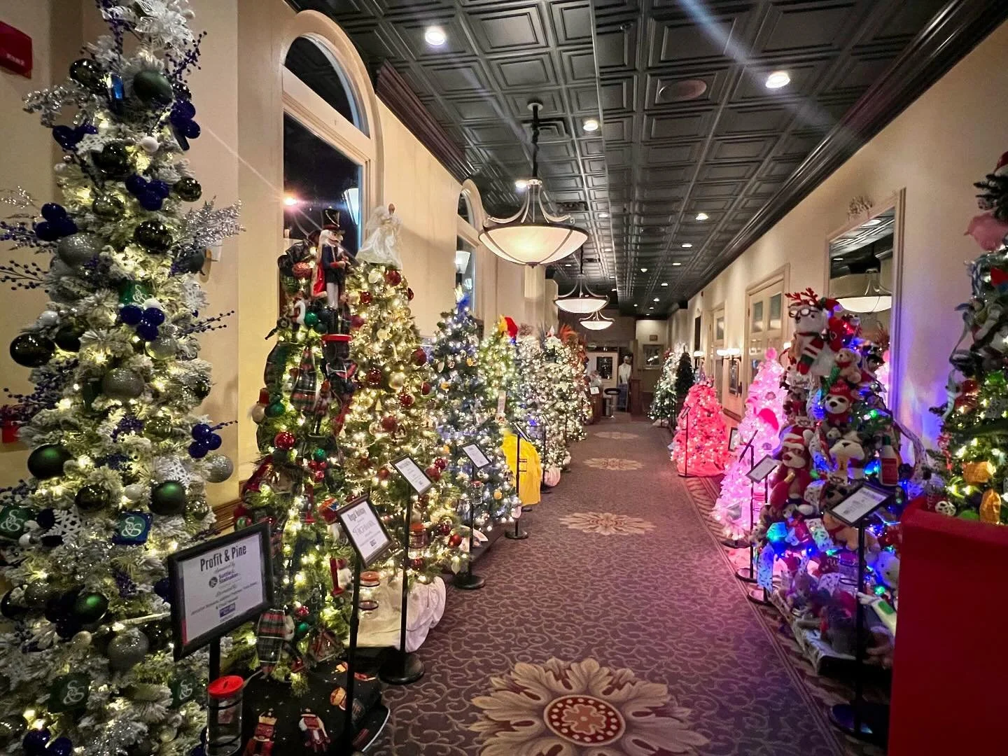 🎄 The 2024 Festival of Trees is officially open at The Blennerhassett Hotel &amp; Spa! 🎄

Stop by before December 11th to see all of the beautiful entries and vote for your favorites! 

#LiveUnited #CenturyOfService #100DaysOfImpact #FestivalOfTree