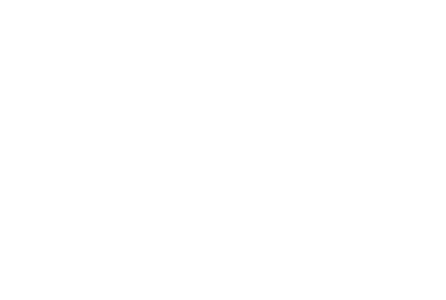 Fly Fidelity