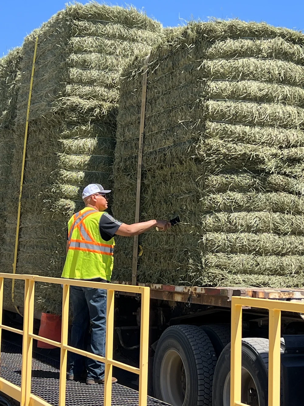 2024-M06-D26 Harvest Day 1 Quality Test.jpg