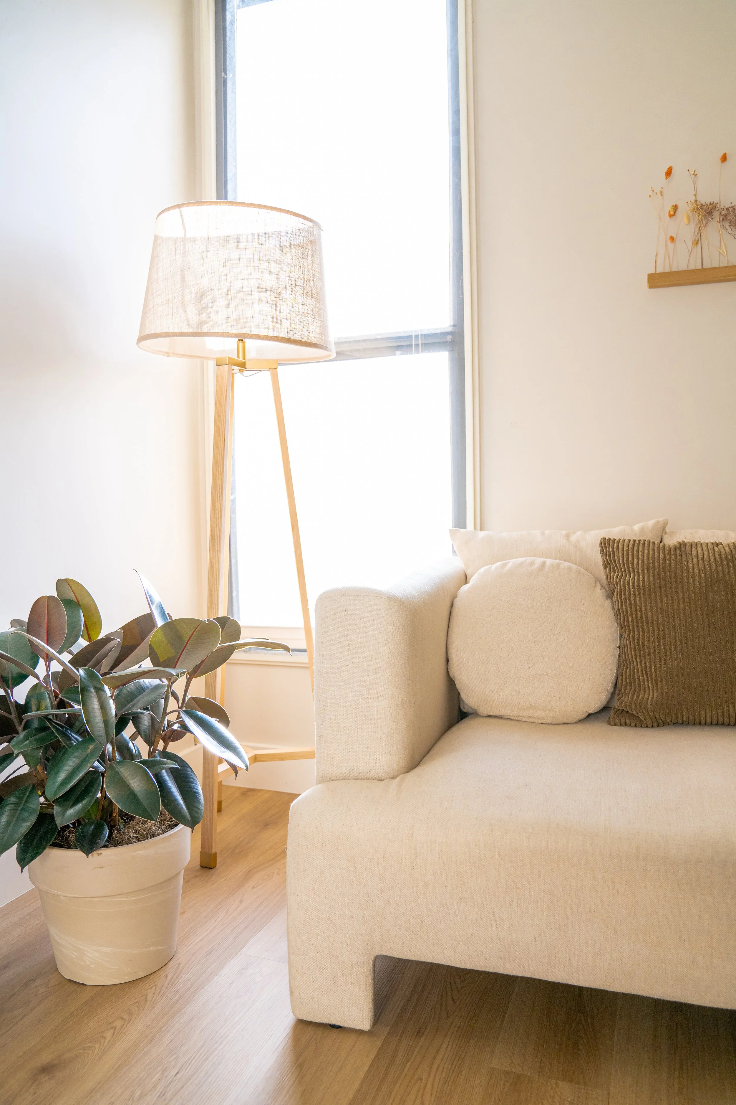 A rubber plant and cream-colored couch in a sunlit Denver therapy office, providing a warm and safe environment for somatic healing.