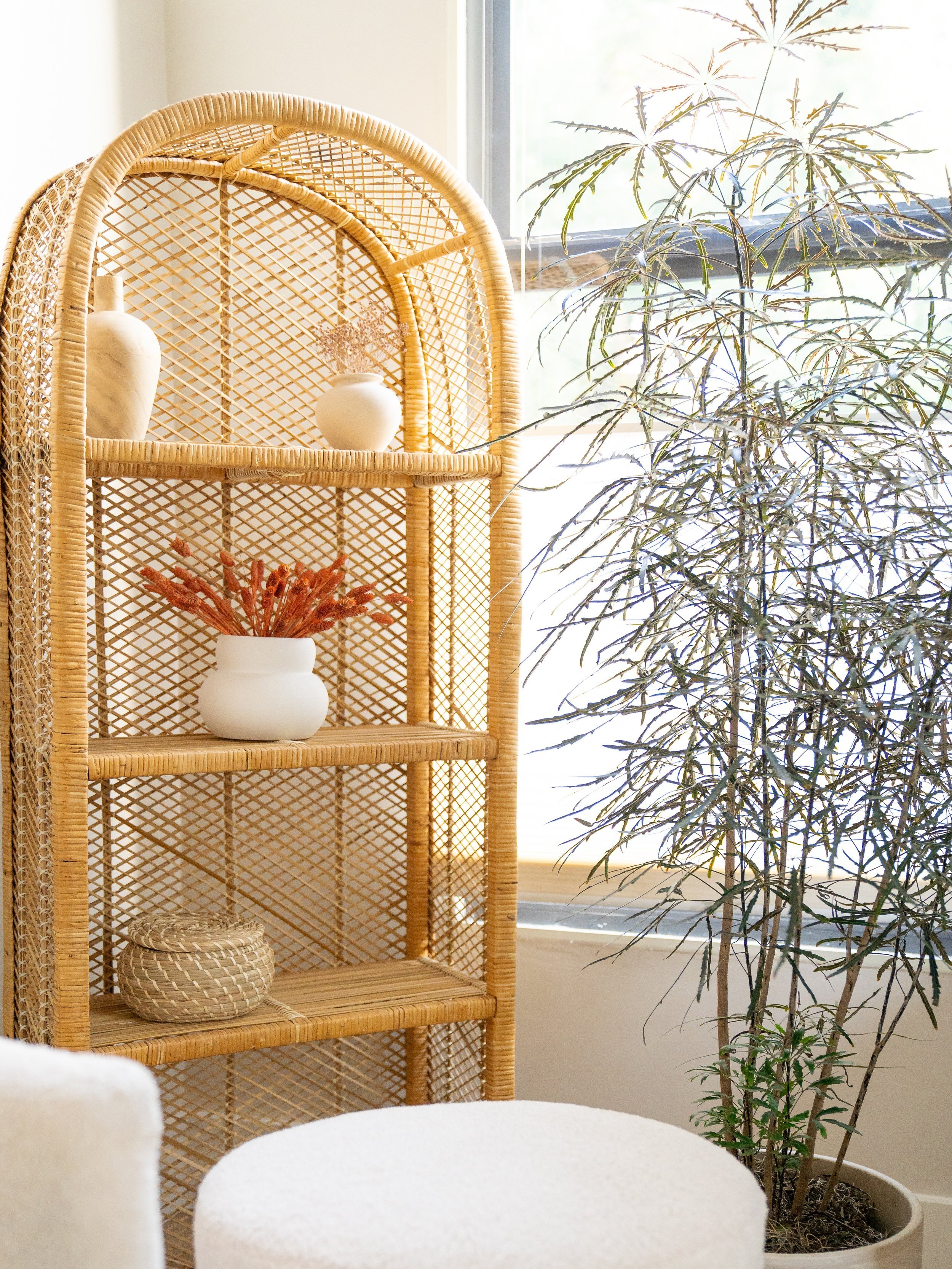 A rattan shelf styled with decorative objects and a tall potted plant, contributing to the modern and thoughtful atmosphere of our Denver counseling practice.