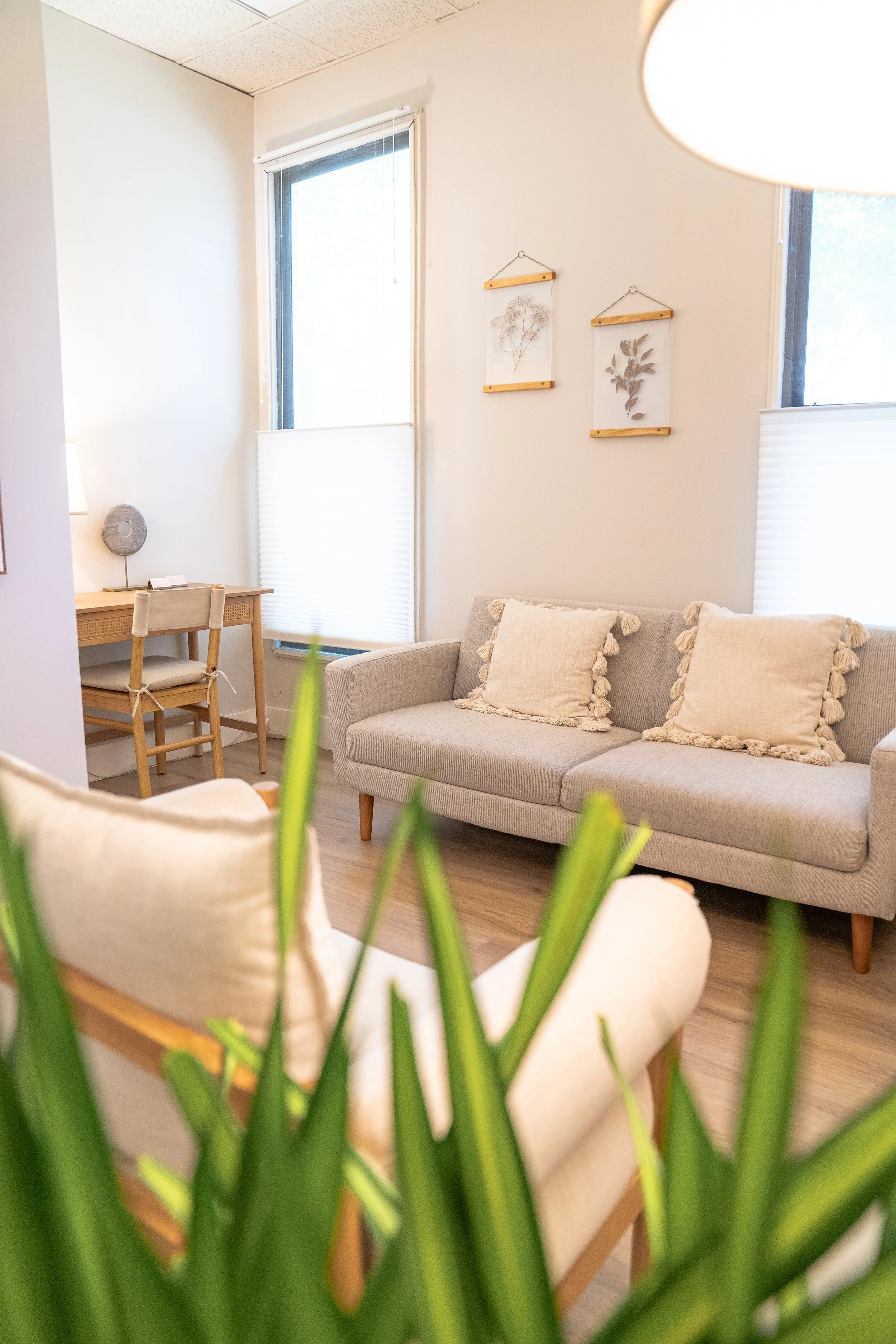 calm-therapy-office-grey-couch-plant-denver-co.jpg