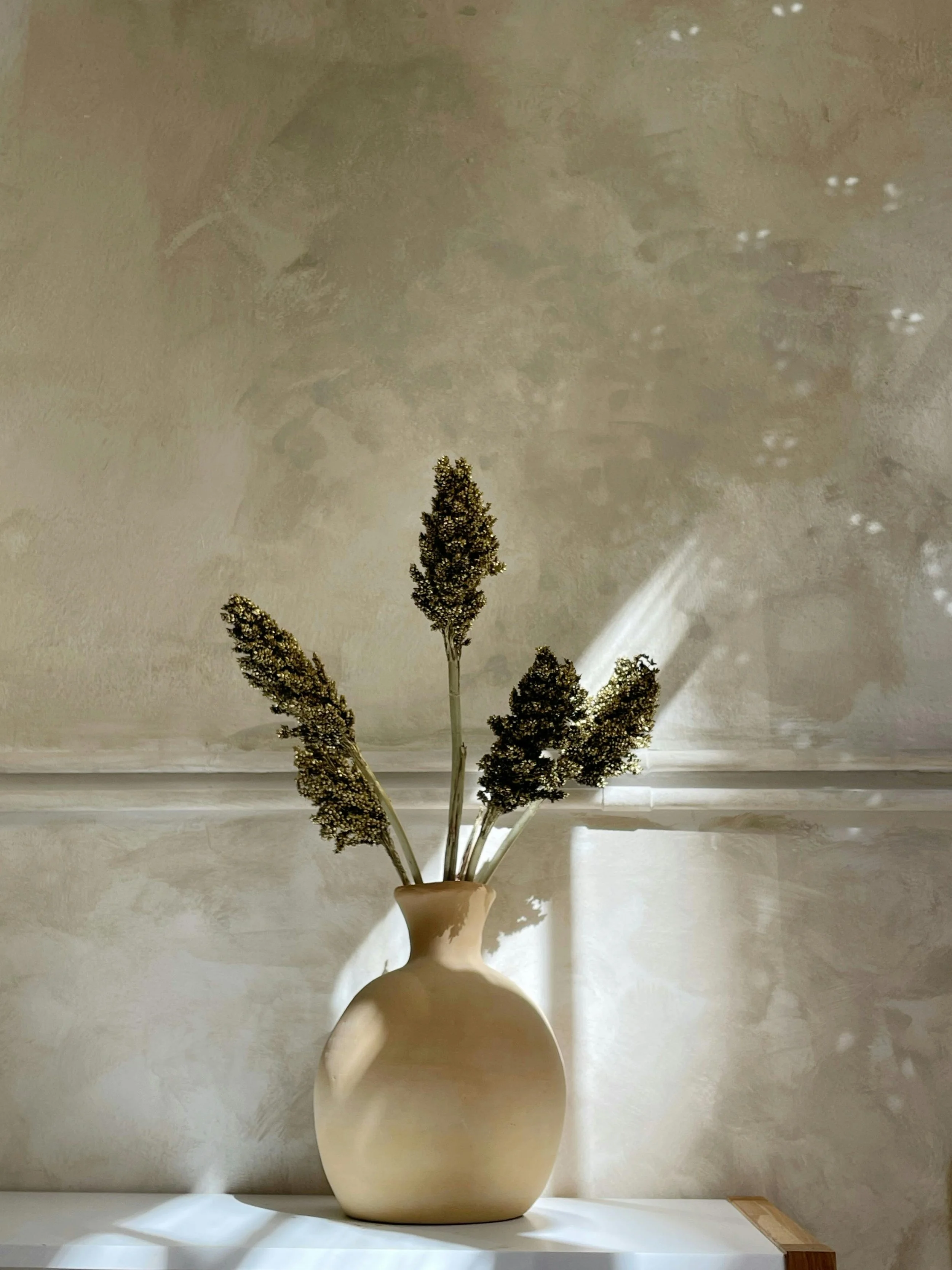 Dried florals in a round tan vase against a textured limewash wall, creating a serene and modern setting for anxiety therapy in Denver.