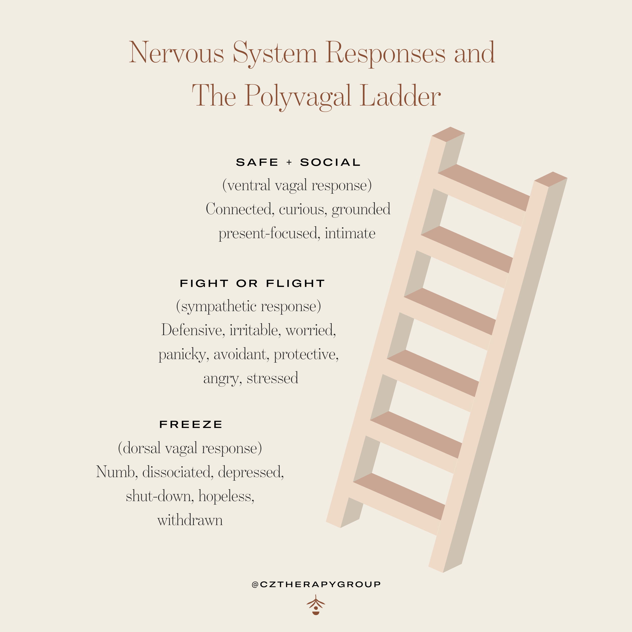 Polyvagal ladder diagram showing nervous system states from ventral vagal safety to sympathetic fight or flight and dorsal vagal shutdown freeze response
