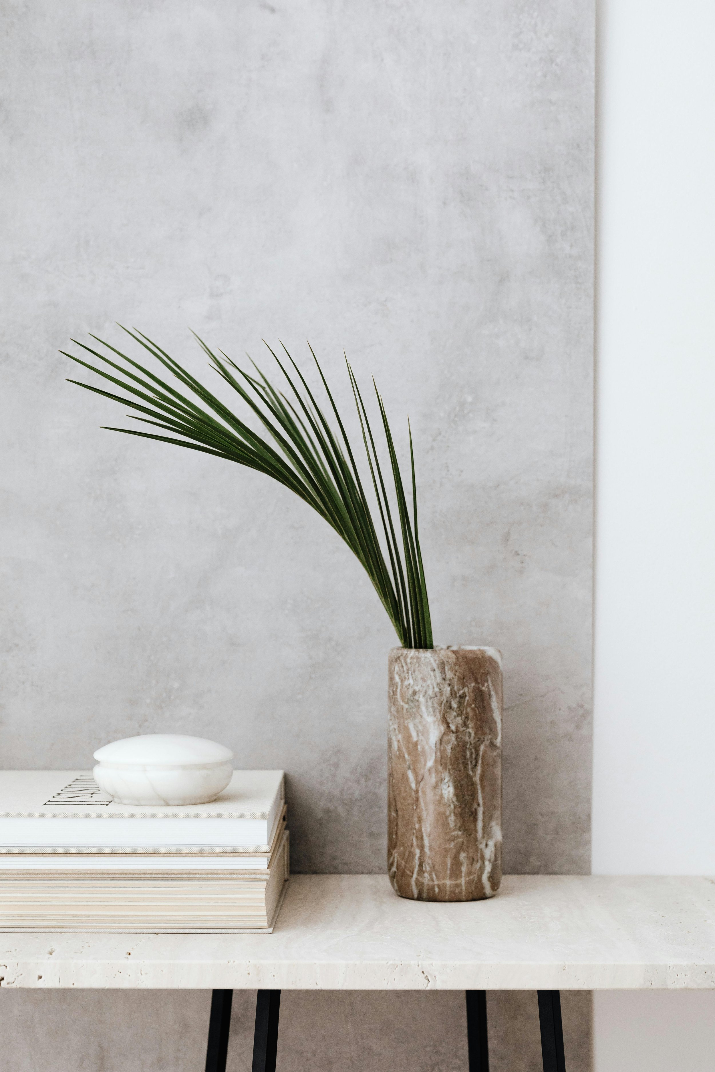 A green plant in a brown marble vase sitting next to a stack of books, creating a calm and thoughtful atmosphere in our Denver therapy space.