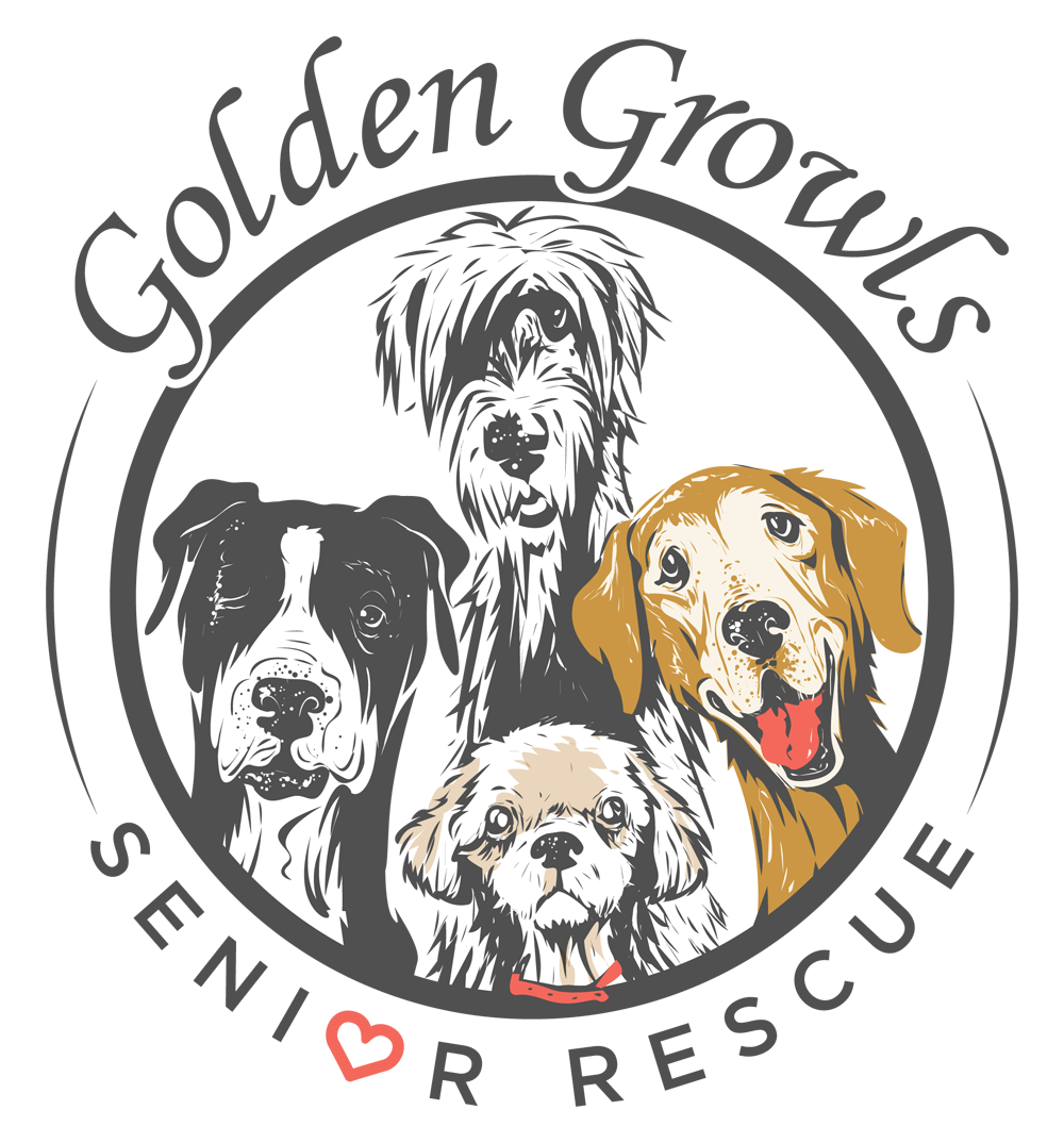 Golden Growls Senior Rescue