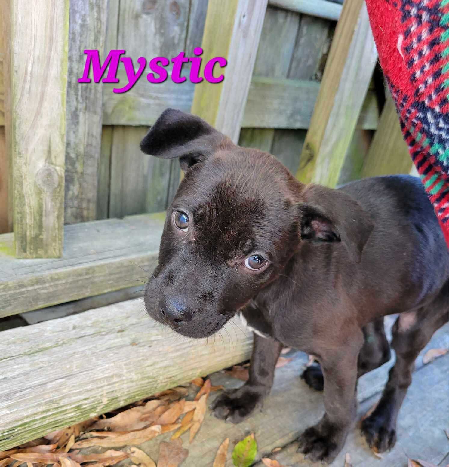 Mystic