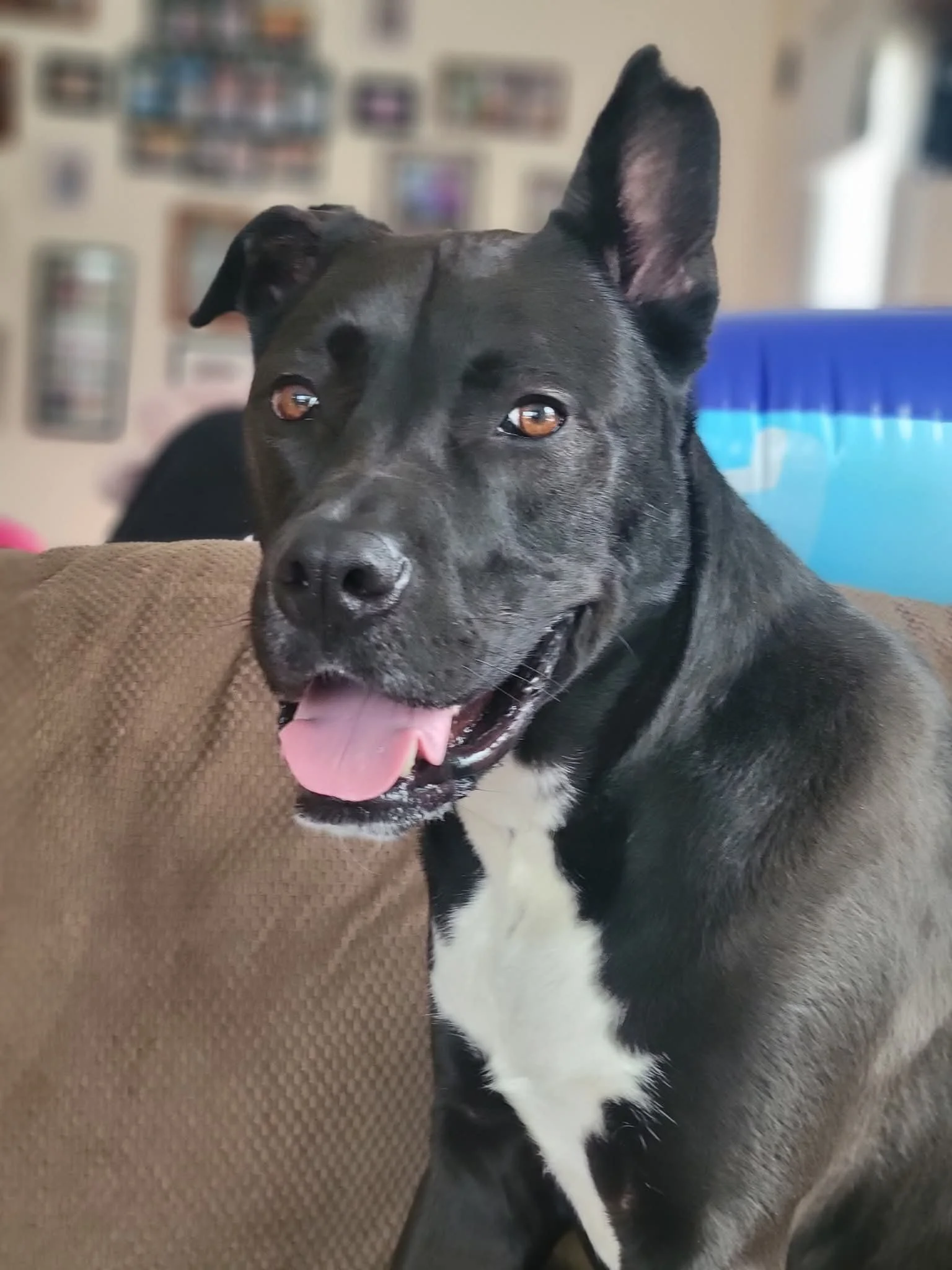 Finn