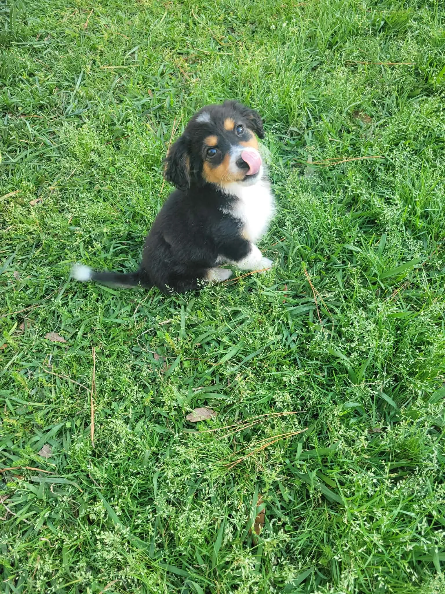 Baby