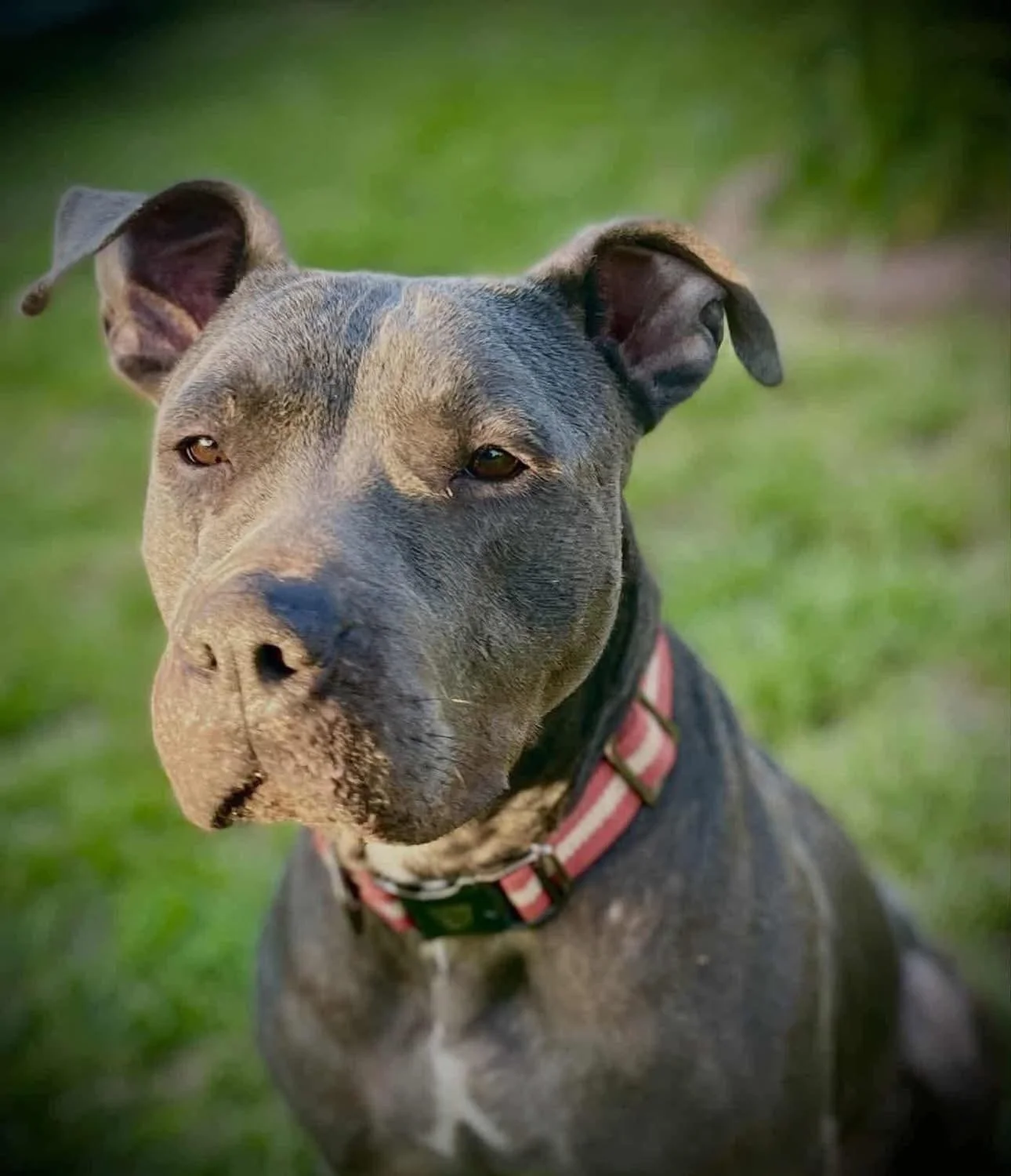 Ellie