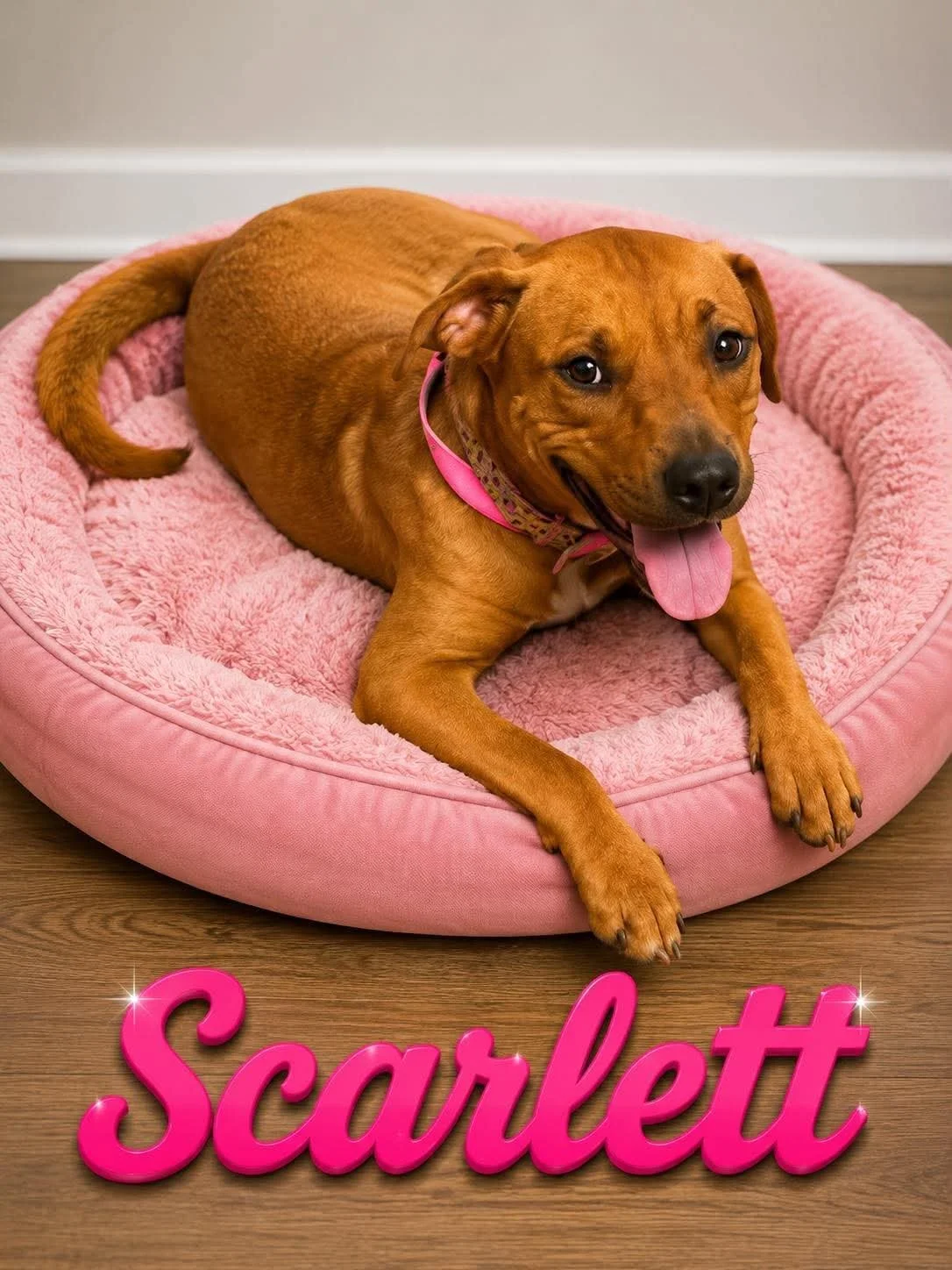 Scarlett