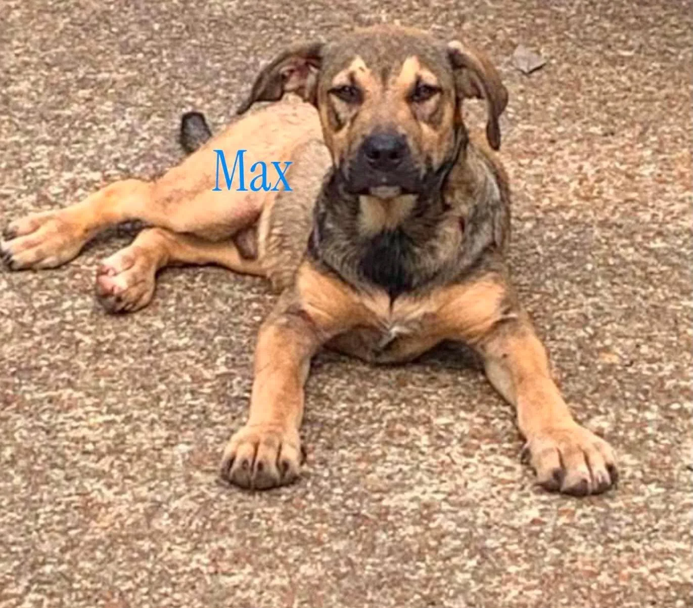 Max
